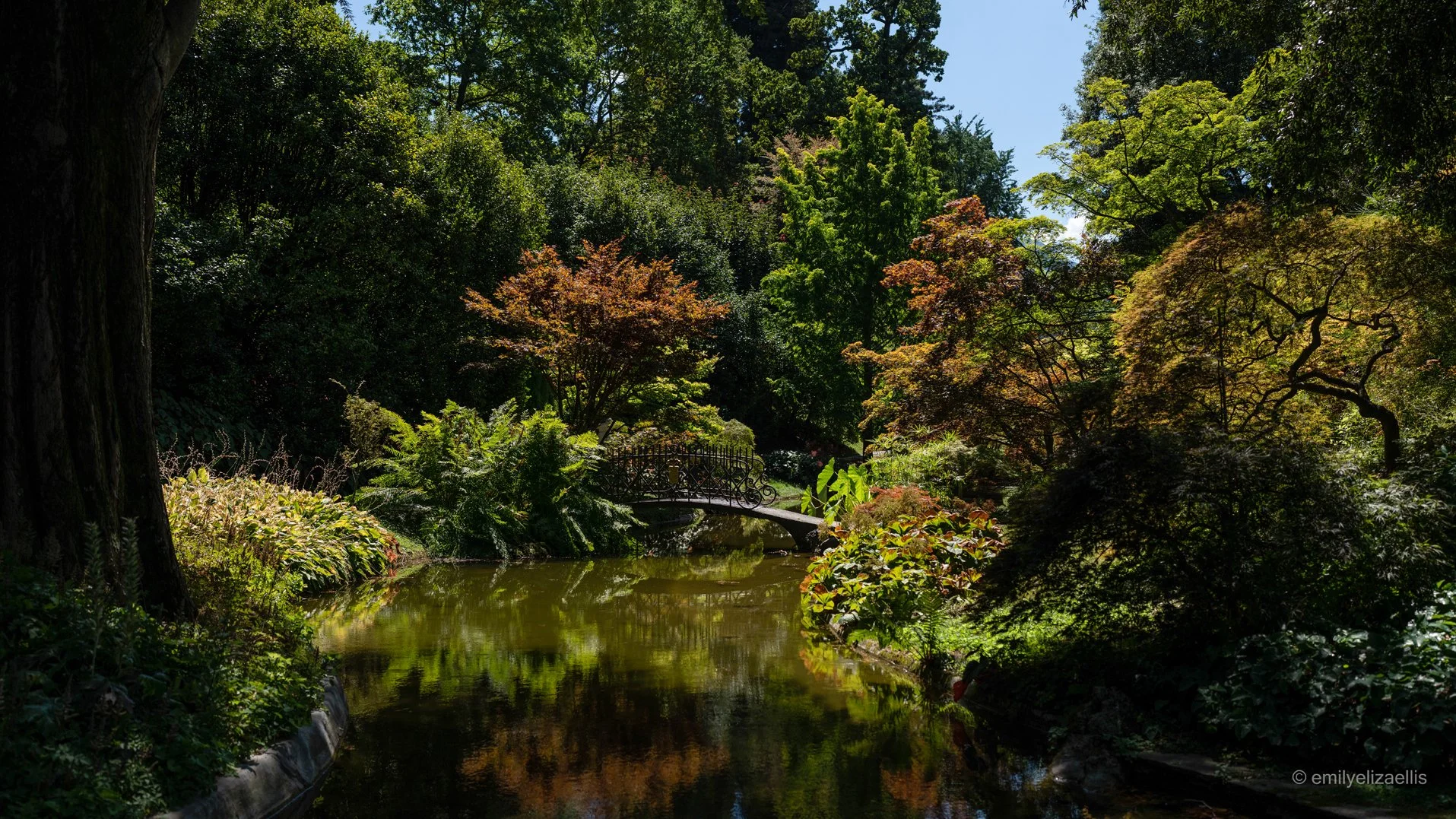 DSC03922.jpg