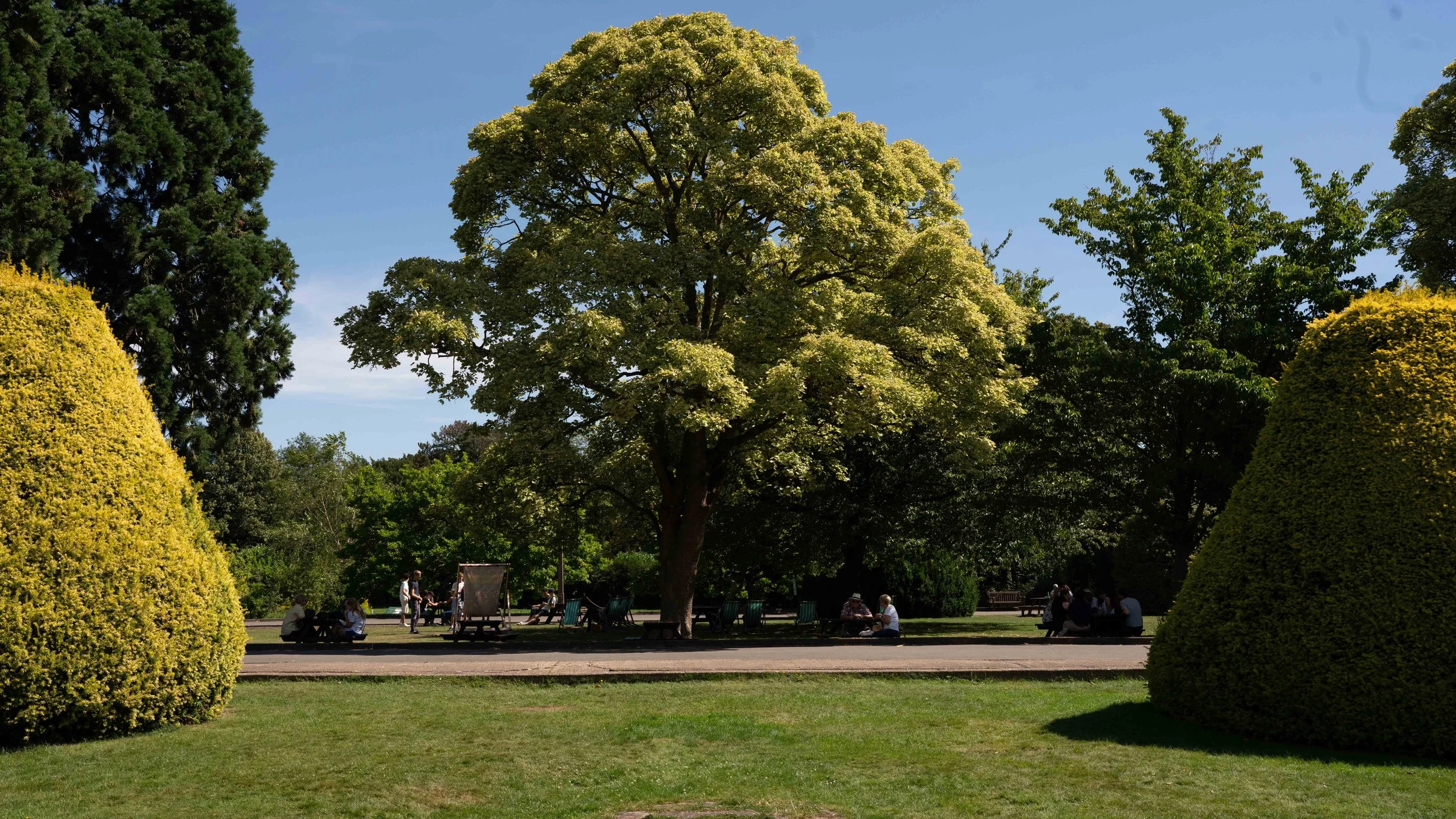 Bletchley_eee_202400103.jpg