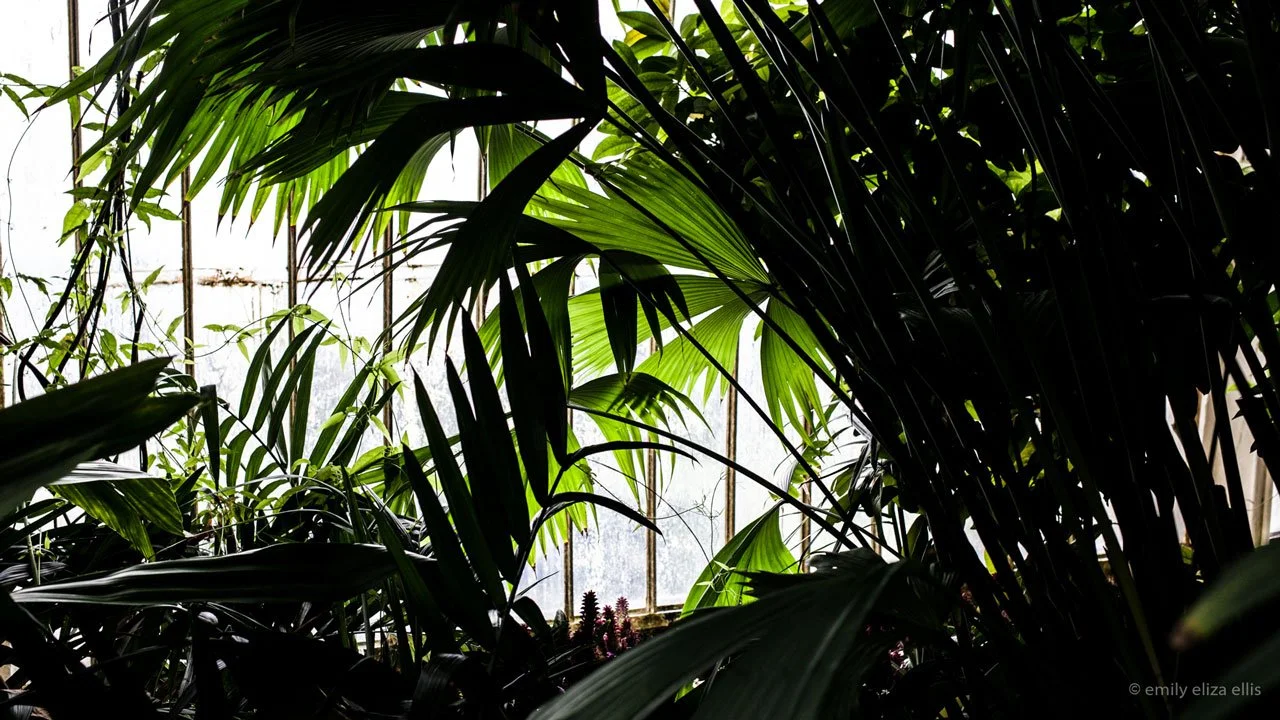 kew_ee_ (2).jpg