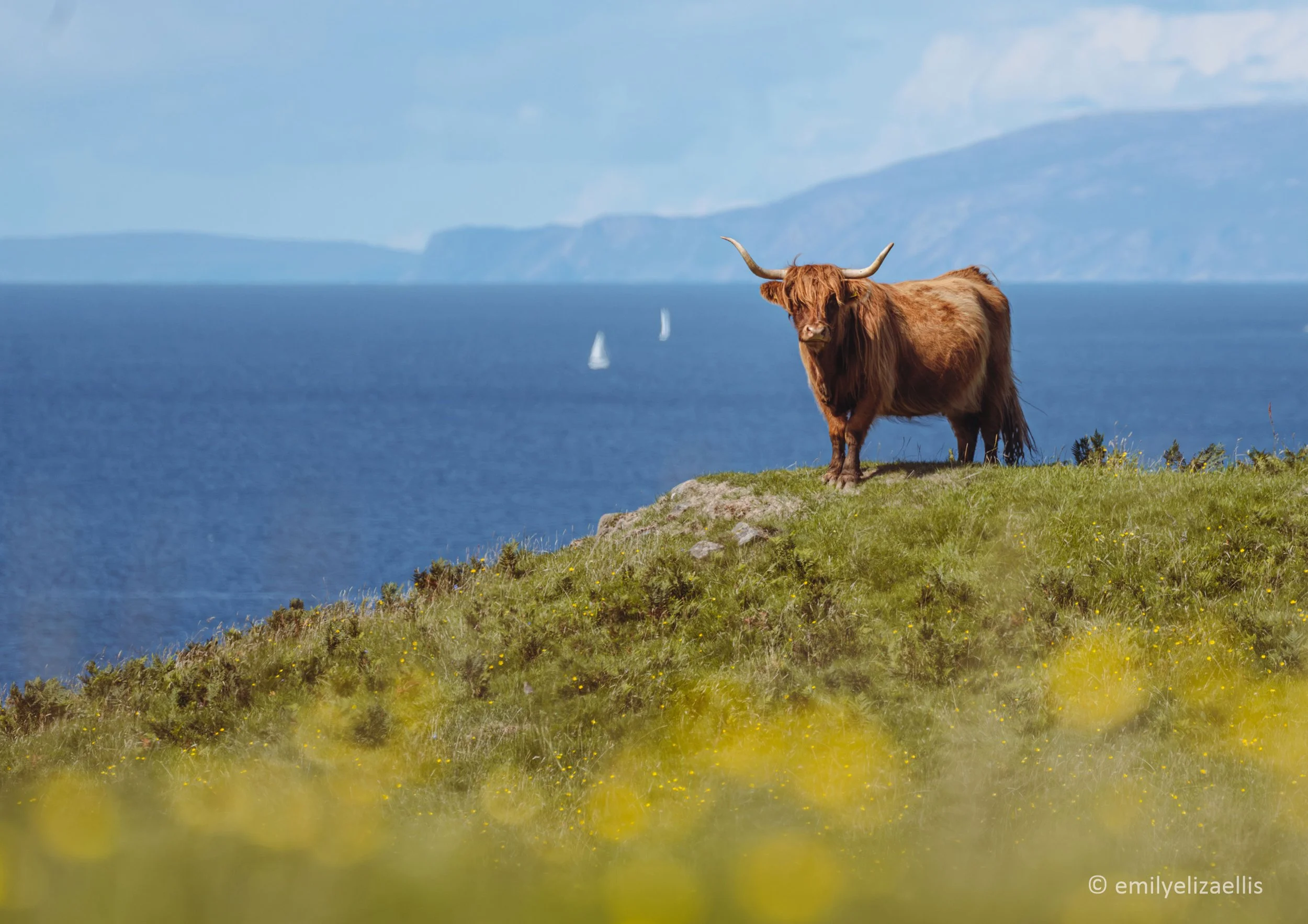 Isle-of-mull-1.jpg