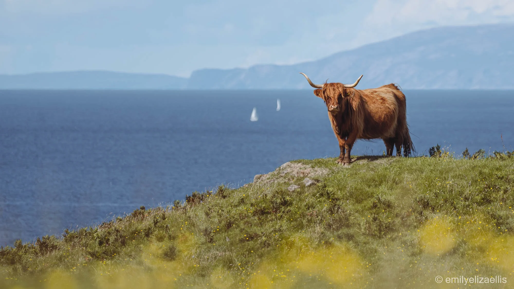 Isle of Mull, Isle of Iona & Staffa Island, Scotland