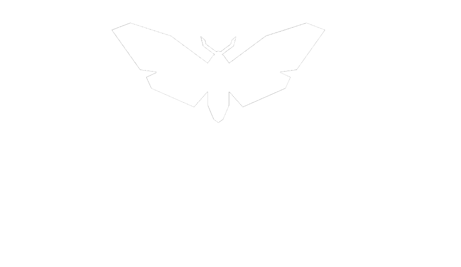Logo for The Moth Forge Handmade Leather Studio, featuring a butterfly silhouette above the text.