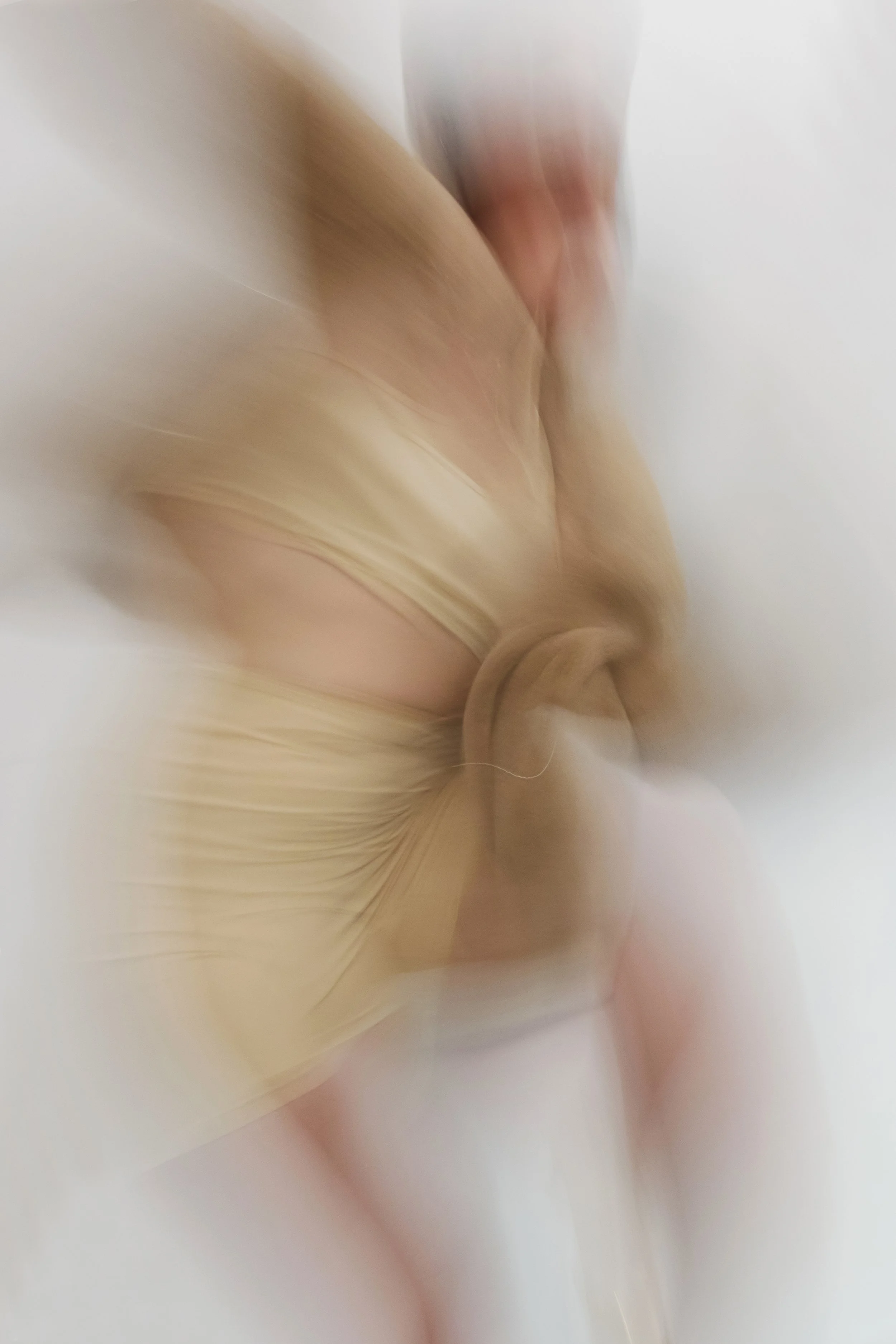 daphné2 45.jpg