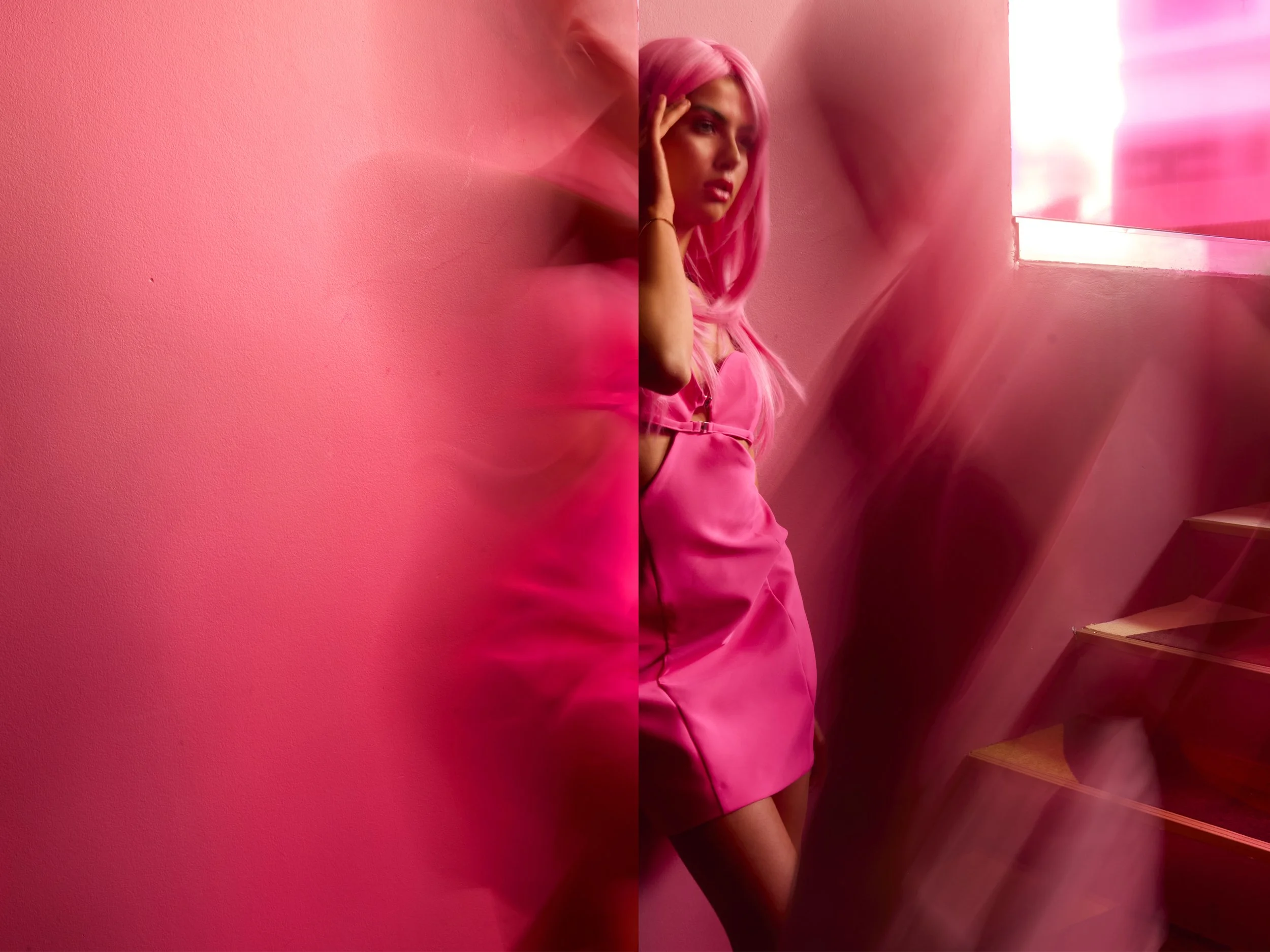 montage Miss Rose 06.jpg