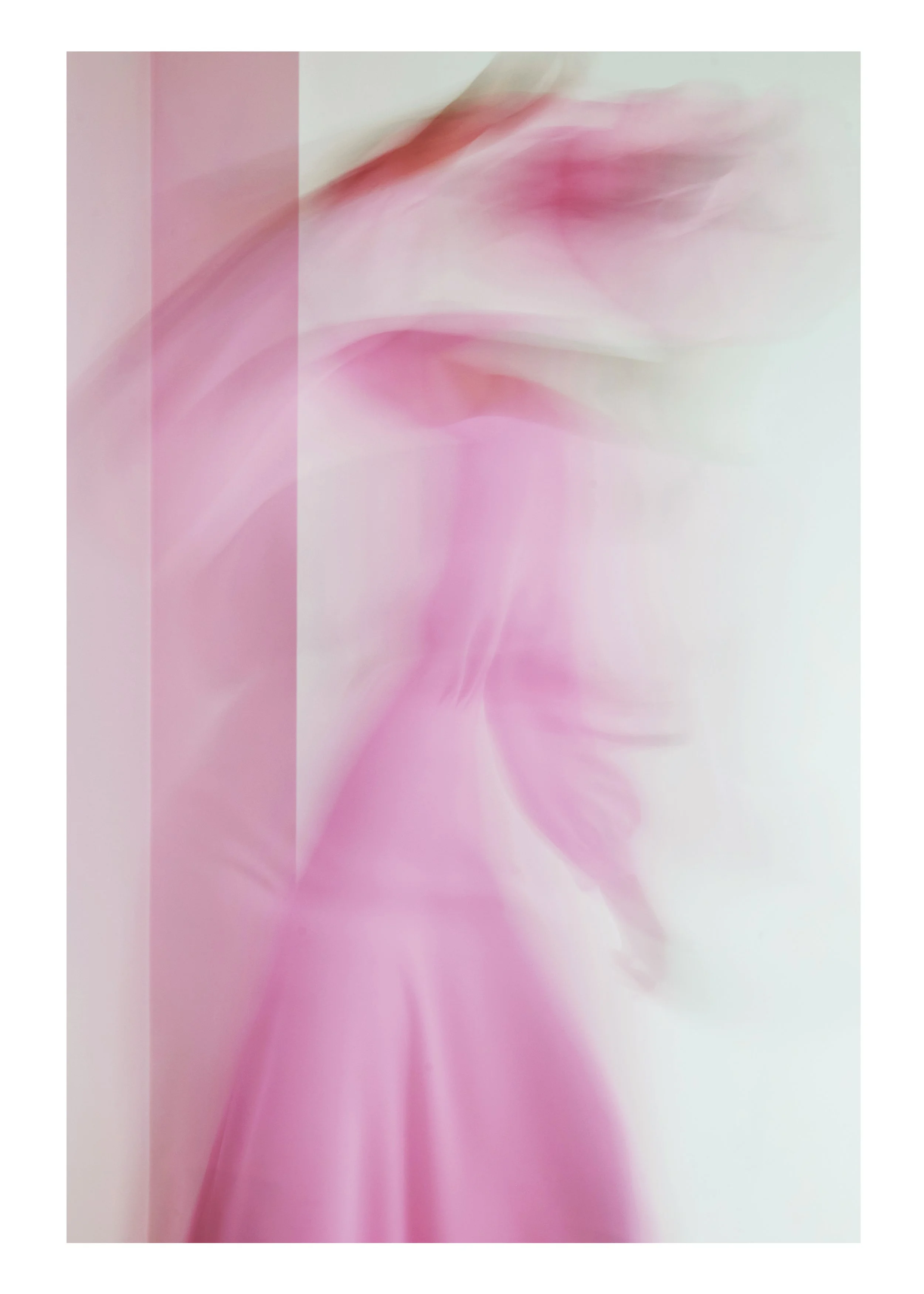 Anais 02.jpg