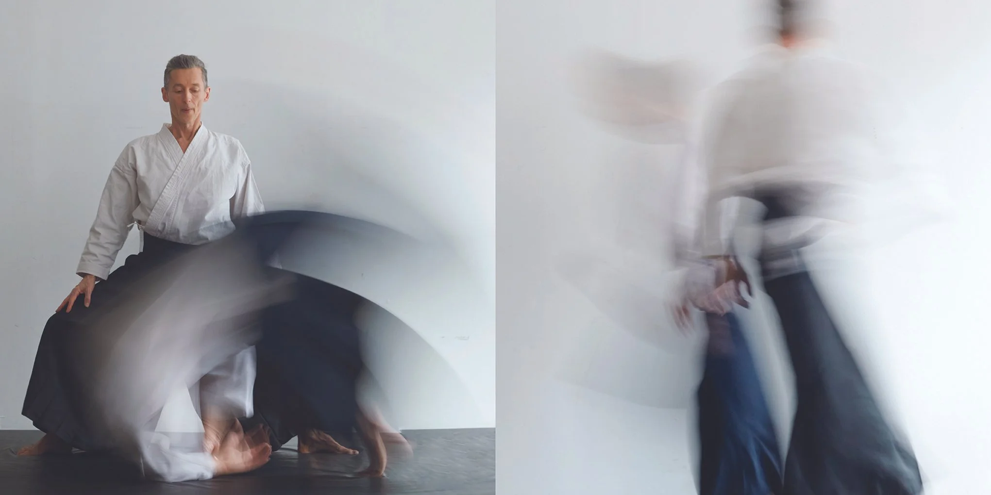 montage Aikido 11.jpg