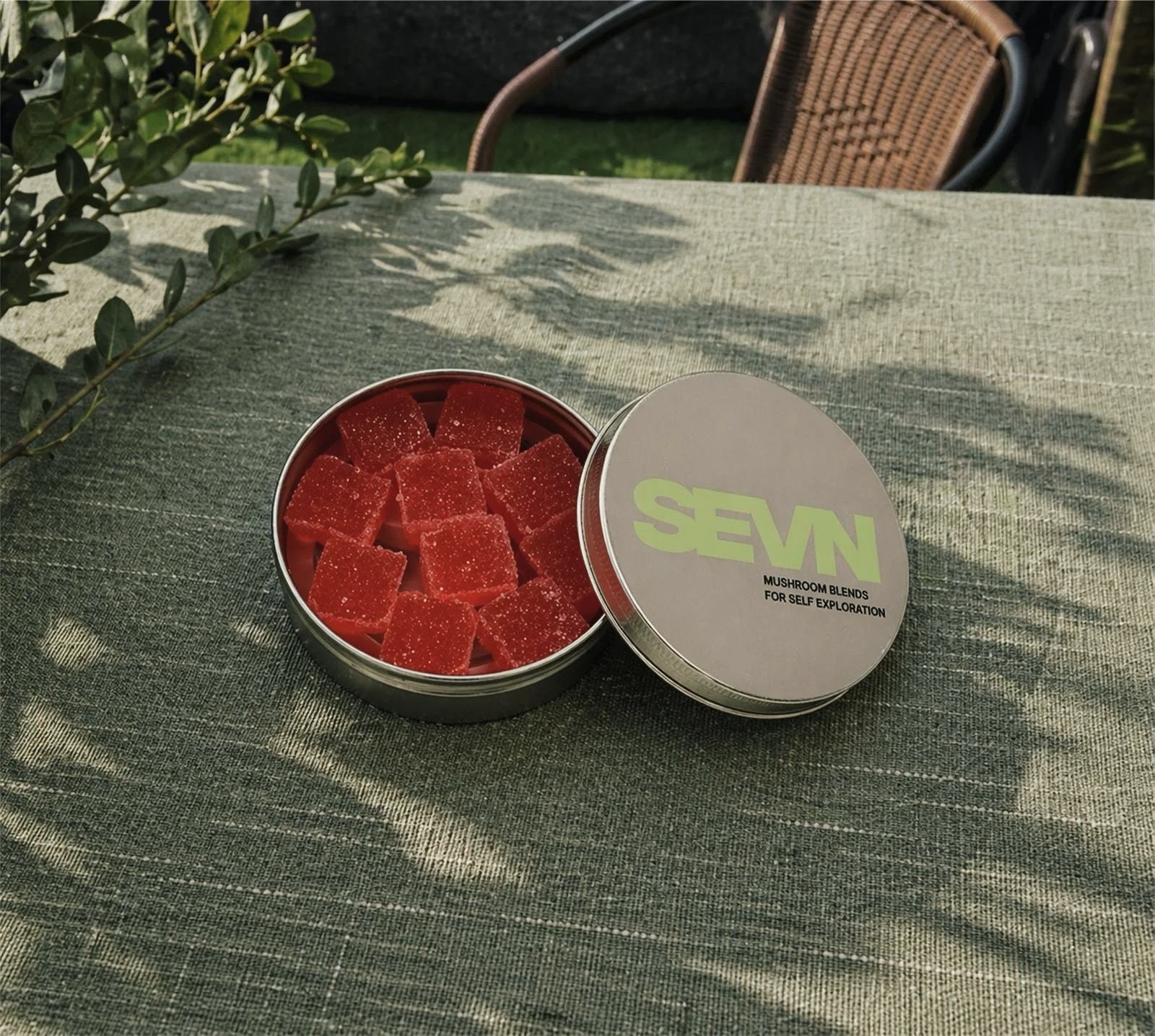 Watermelon Basil Tin (5g Tin)