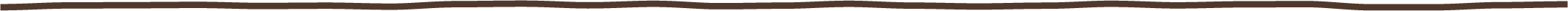 Dark brown hand-drawn line