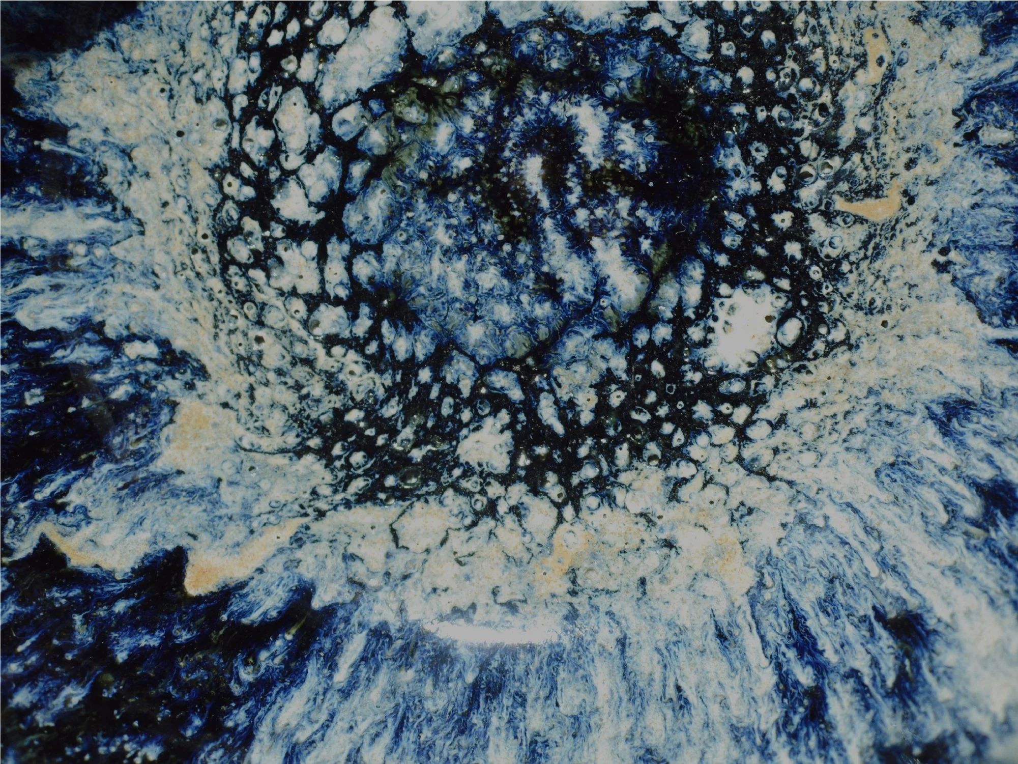 Artboard 1 copy 7.jpg