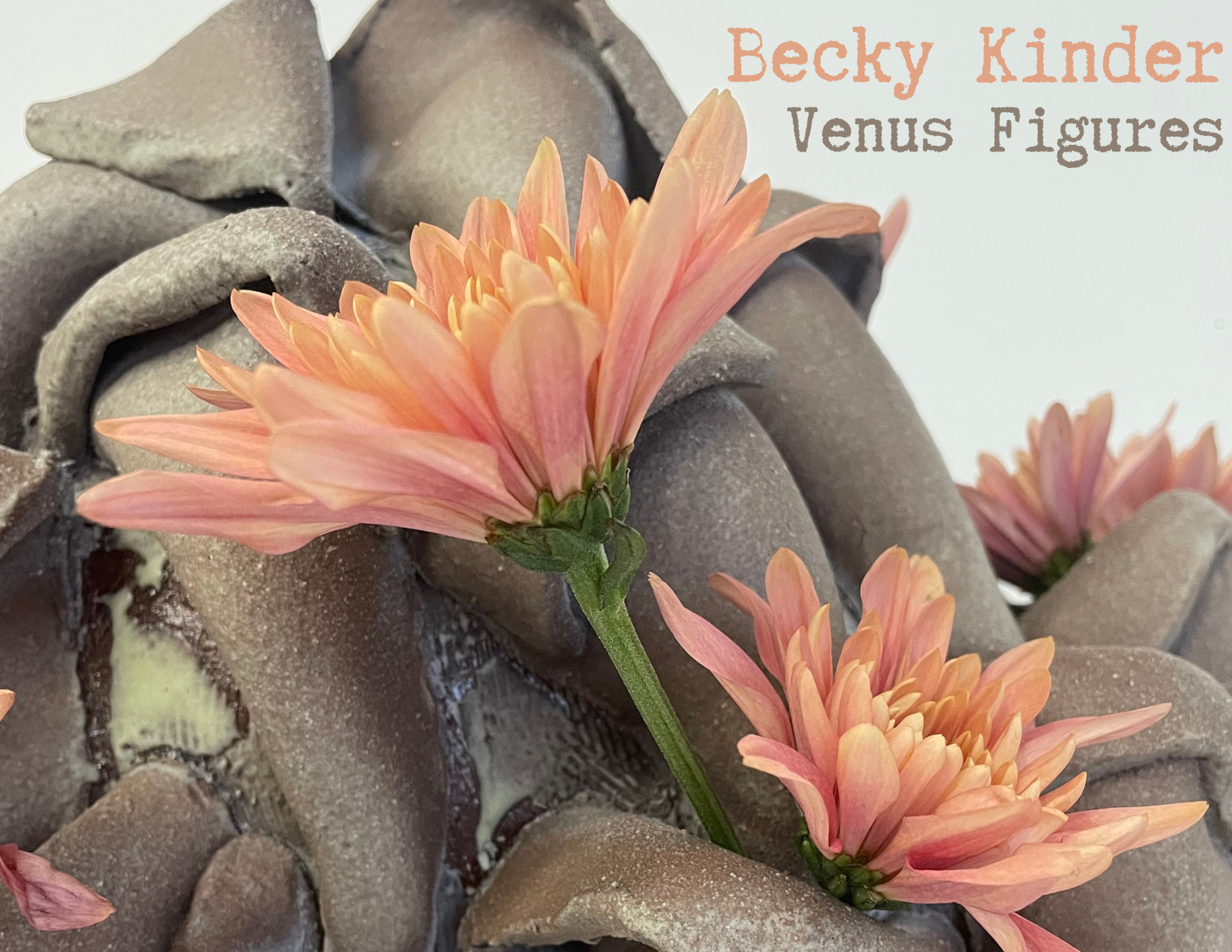 Becky Kinder: Venus Figures