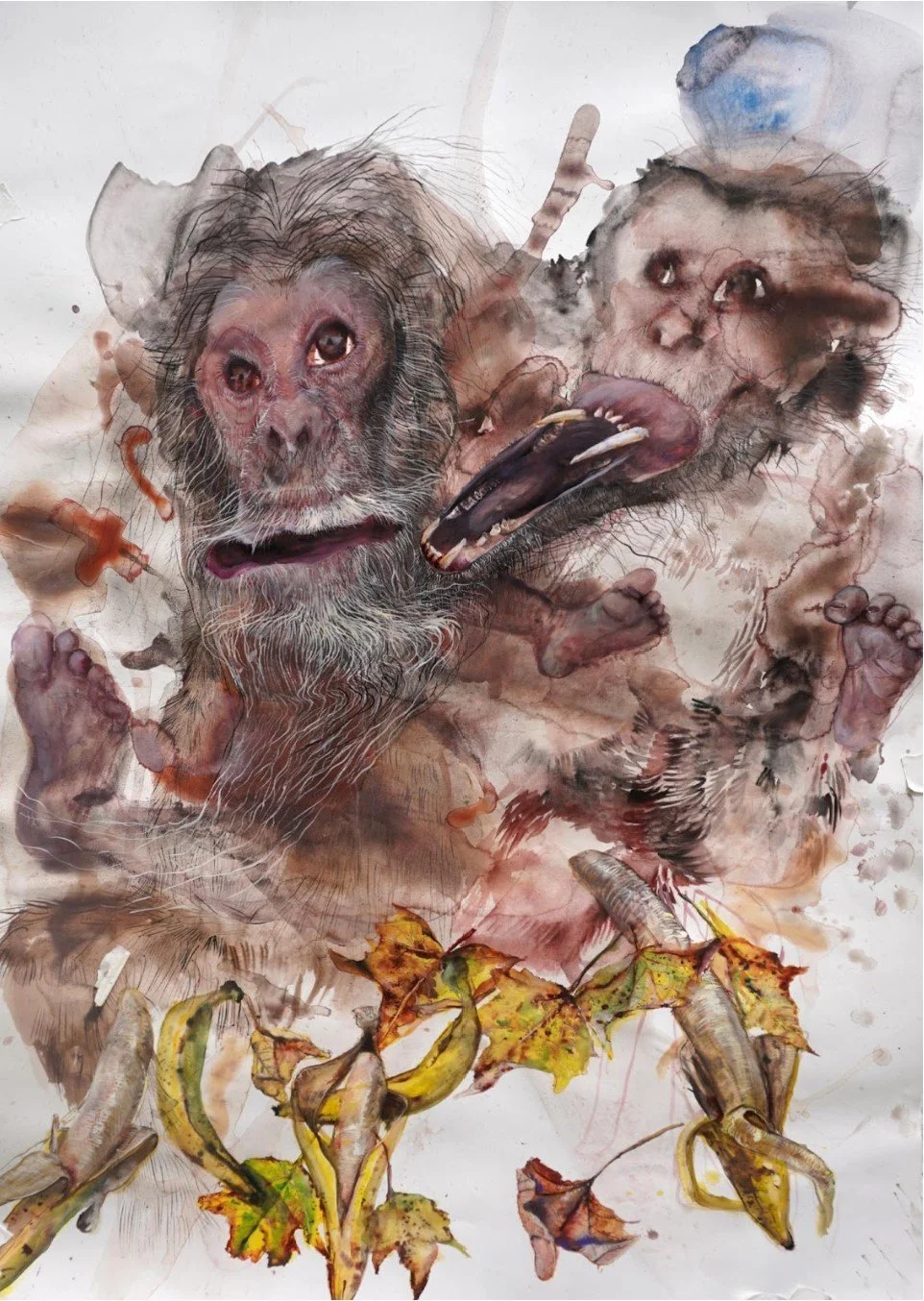 Ecstatic Nature: Shiri Mordechay and Matt Rota