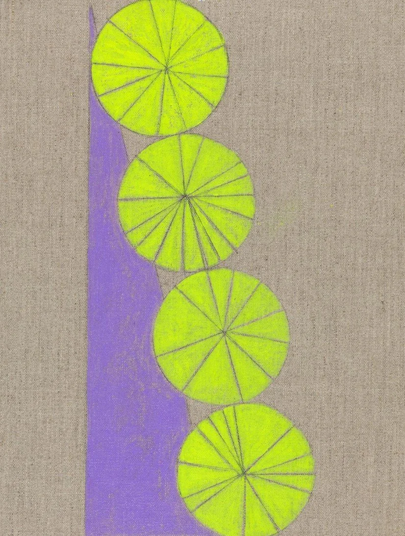 The New Math: Geometric Plasticism, Ideal Visions, and the Reductive Impulse