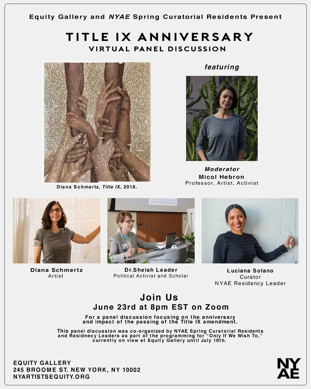 Equity Gallery and the NYAE Spring Curatorial Resident Present: Title IX Anniversary Virtual Panel Discussion