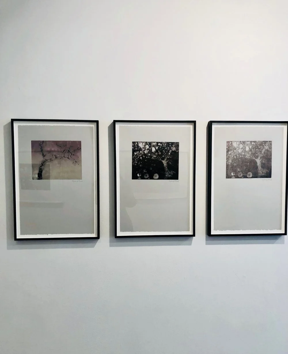 Installation view of Modern Prometheus with works by Hyeseung Marriage-Song