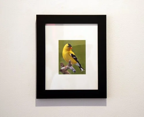 Brent Everett Dickinson, NJ Creed (2012) 