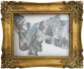 Ana Golici, 300 Hundred Years Later, After Maria Sibylla Merian II (2018)