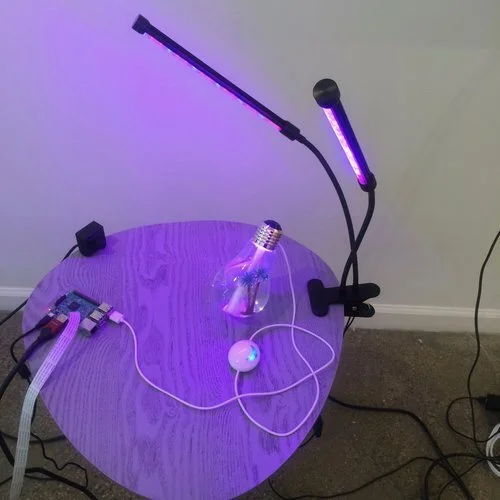 Installation view of 2018 Purchase College MFA Thesis Exhibition: Beyond