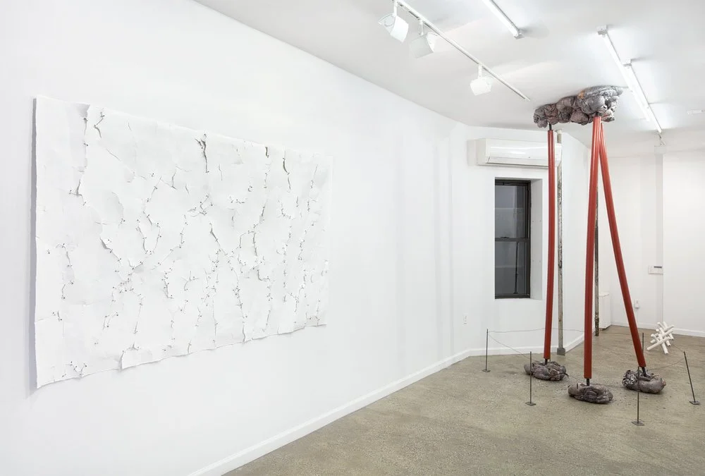  (Image: NYArt Photography) 