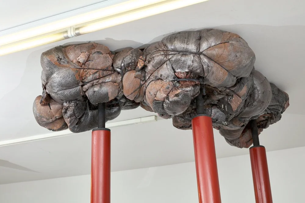  (Image: NYArt Photography) 