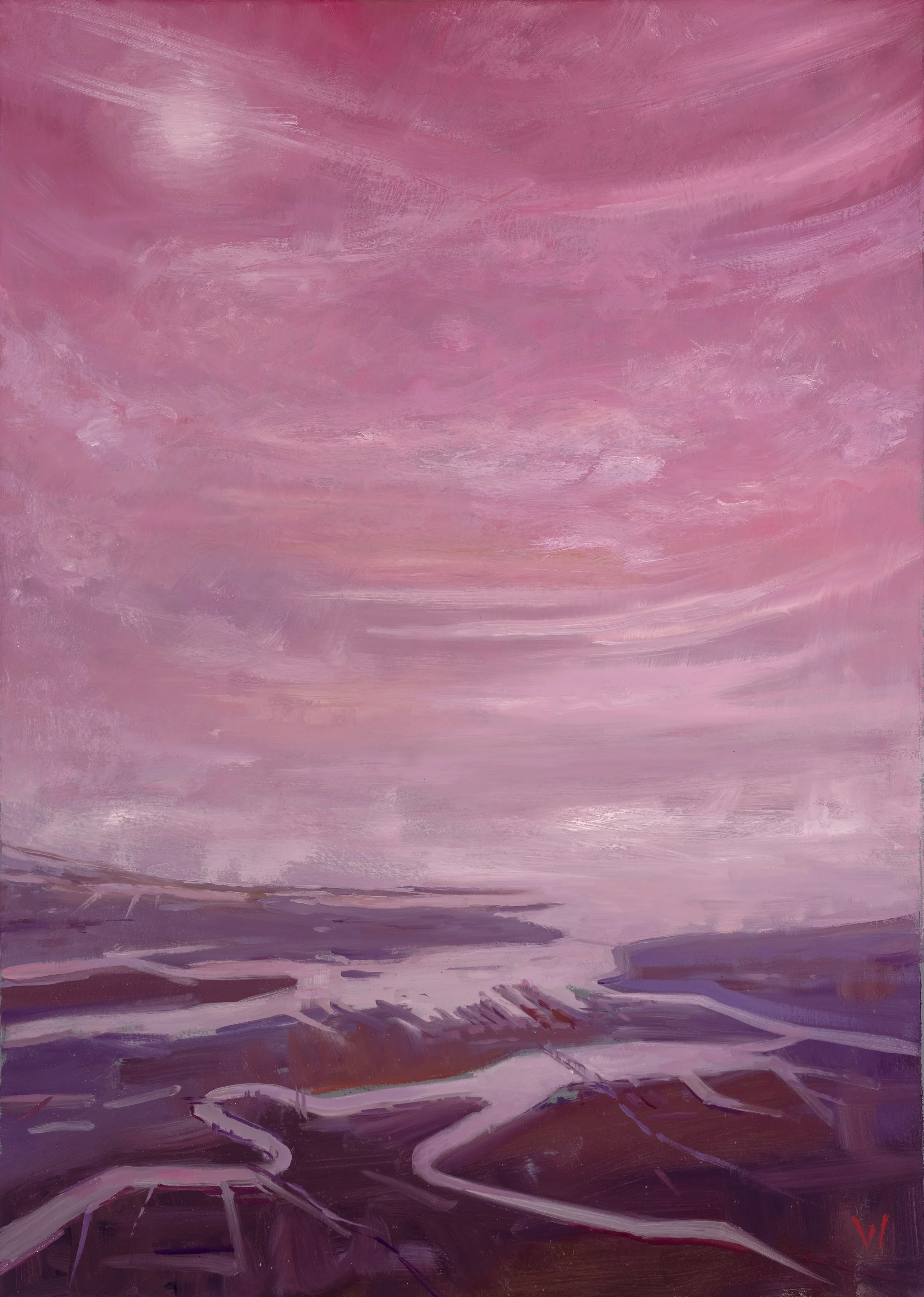 Patricia Watwood, "Pink Airplane Window"