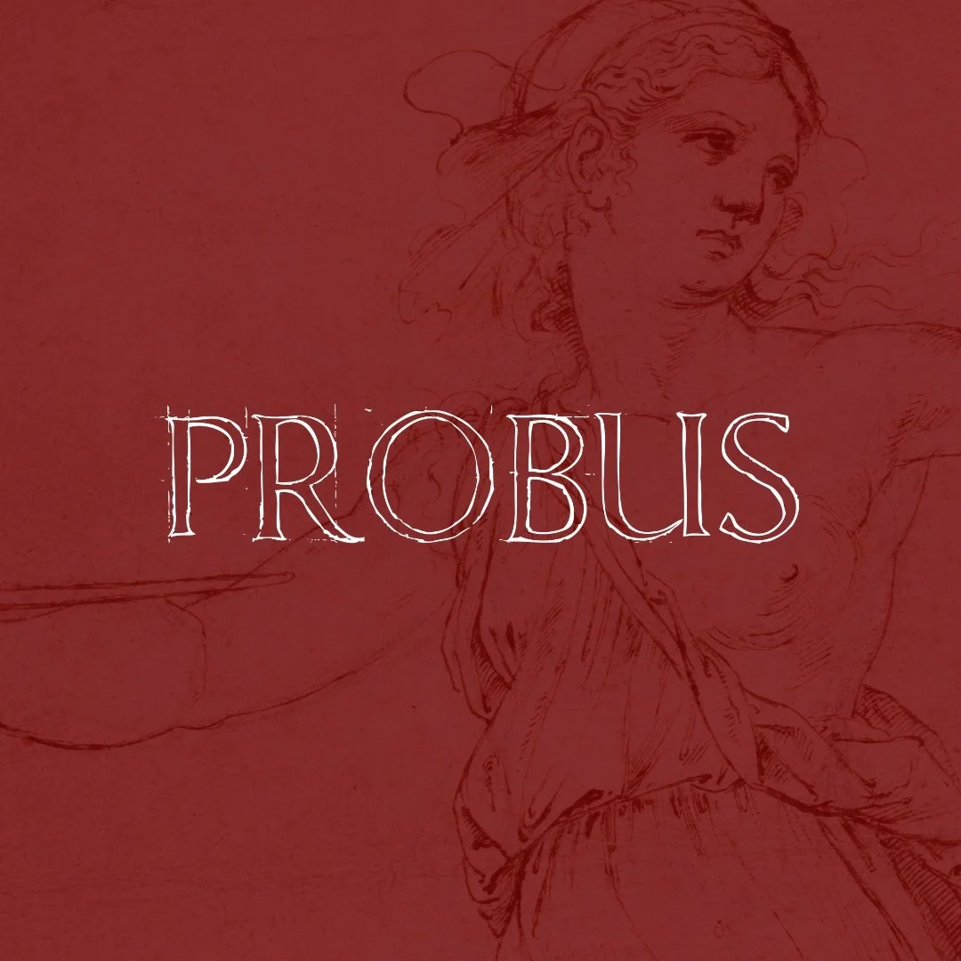 Equity Gallery is pleased to present "Probus," a group exhibition exploring drawing as the probity of creation. 

Our trusted guides in this inquiry, Cennino Cennini and Giorgio Vasari, have long insisted that an artist&rsquo;s first marks,