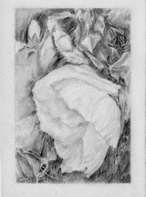Tomorrow is the final day to view "Probus,&rdquo; a group exhibition exploring drawing as the probity of creation, as well as concurrent exhibitions Jane Sangerman, &ldquo;Liminal Rift,&rdquo; and Mark LaRiviere, &ldquo;Crisis.&rdquo; The galler