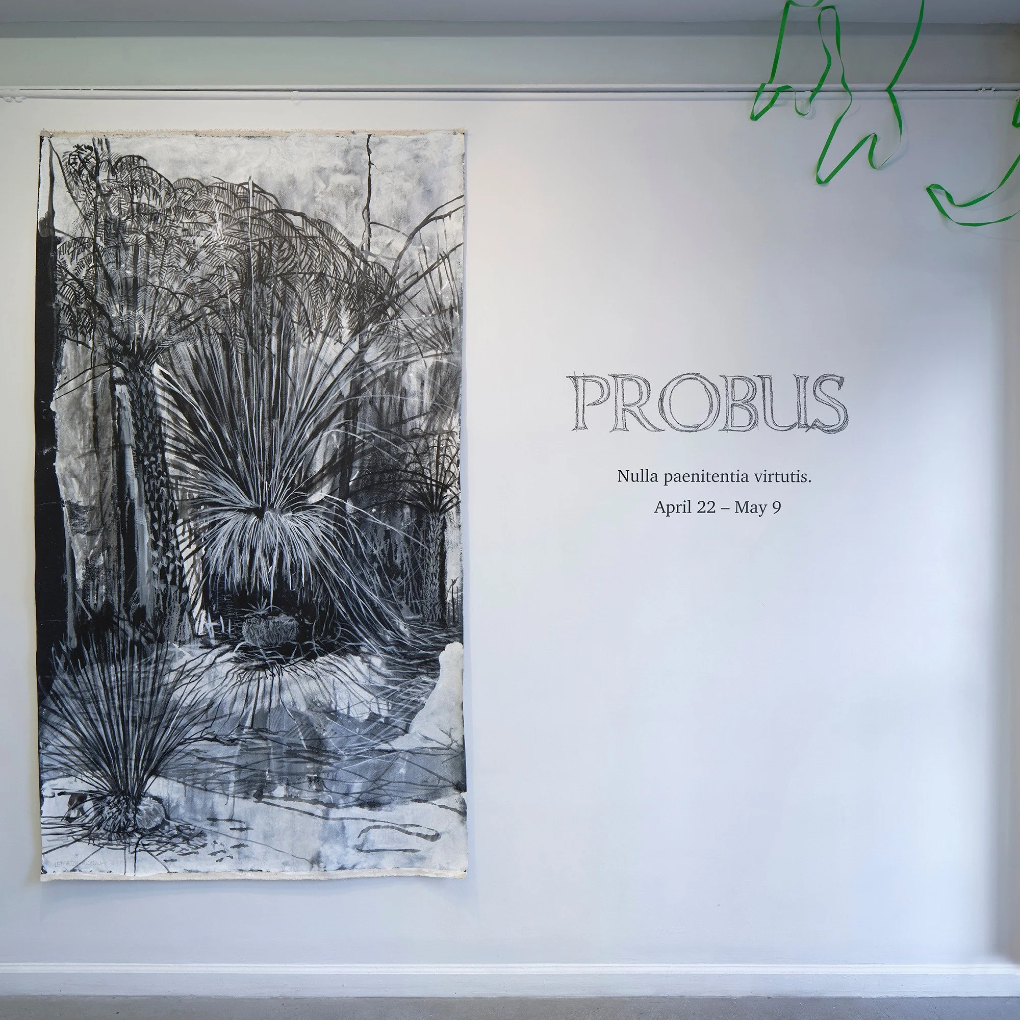 As &ldquo;Probus&rdquo; comes to a close, we want to thank everyone who spent time with the exhibition over the past several weeks! We are deeply grateful to the thirty-nine participating artists, as well as to everyone who visited the gallery, atten