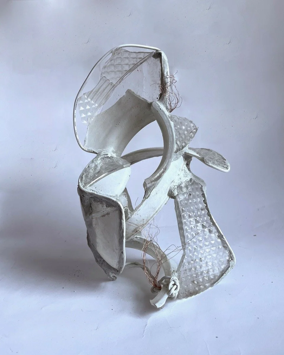 Carol Diamond, "Go Ahead, Make Me," is on view in the Equity Gallery Project Space through June 6, alongside concurrent exhibitions Linnea Paskow, &ldquo;Ecstatic Collapse&rdquo; in the main exhibition space and Aaron Brodeur, "Is it g
