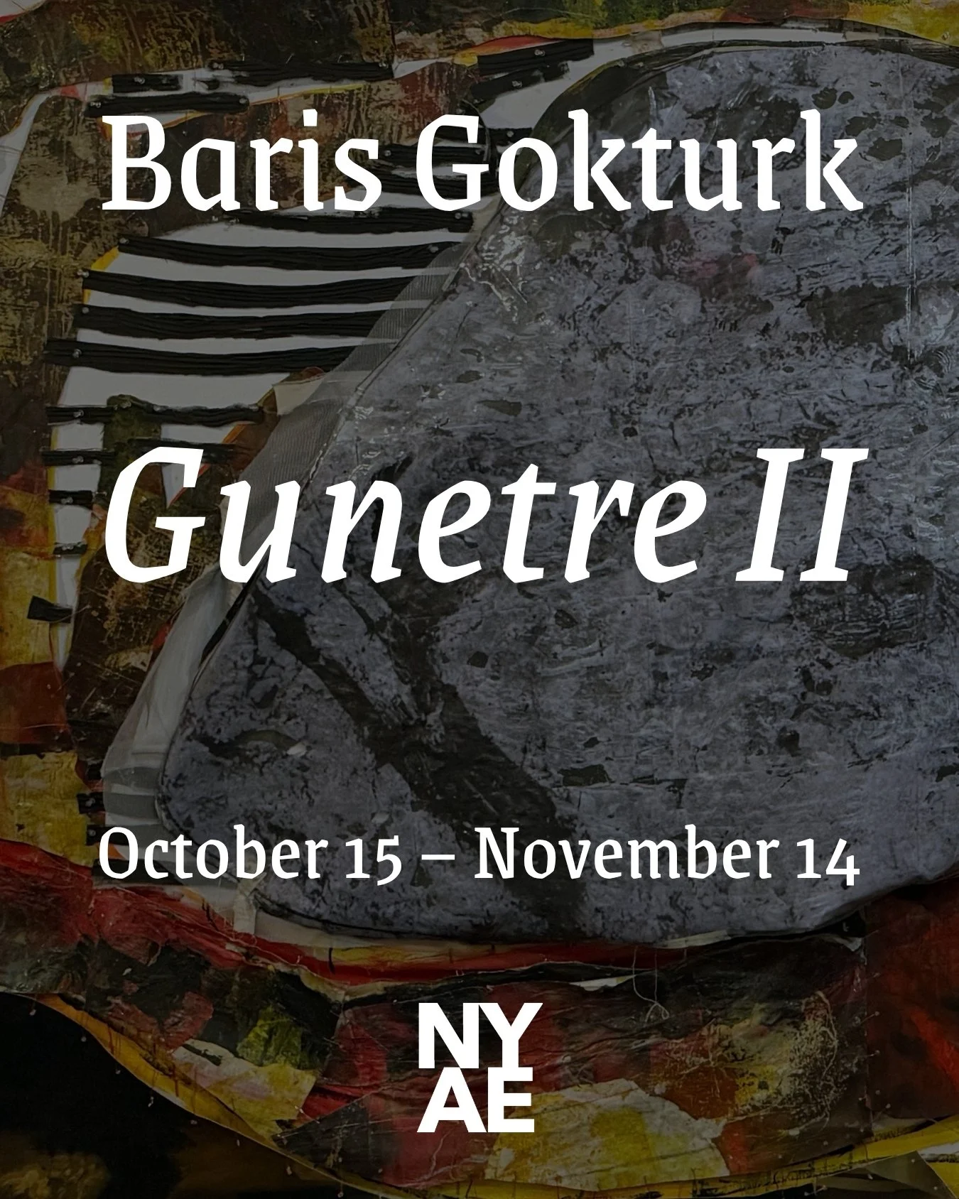 Equity Gallery is pleased to present &ldquo;Gunetre II,&rdquo; a site-specific installation by Baris Gokturk in the Equity Gallery courtyard.

Please join us for the opening reception on Thursday, October 15 from 6&ndash;8 PM!

Baris Gokturk is an ar