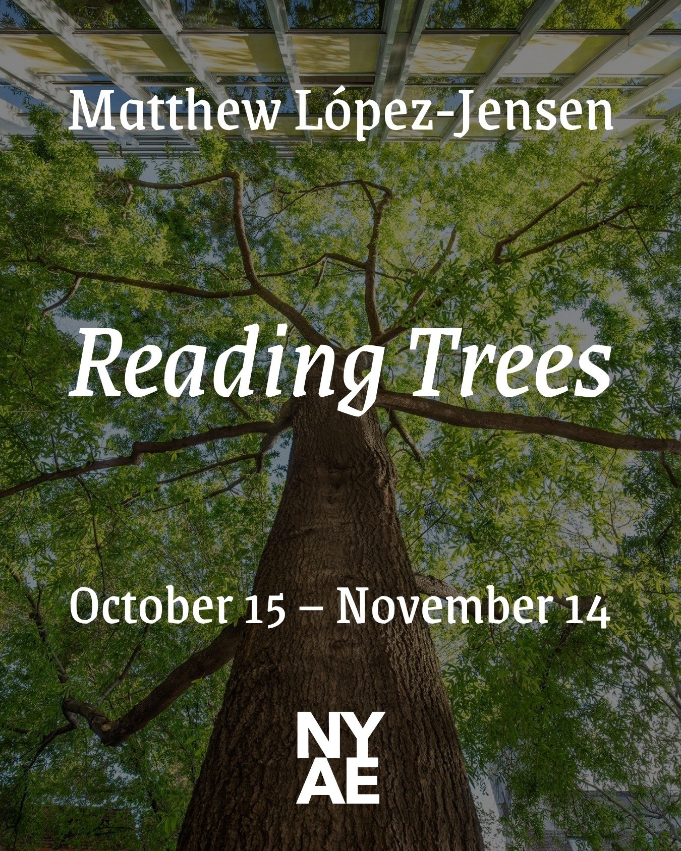 Equity Gallery is pleased to present &ldquo;Reading Trees,&rdquo; an exhibition of work by Matthew L&oacute;pez-Jensen in the Equity Gallery Project Space.

Please join us for the opening reception on Thursday, October 15 from 6&ndash;8 PM!

Matthew 
