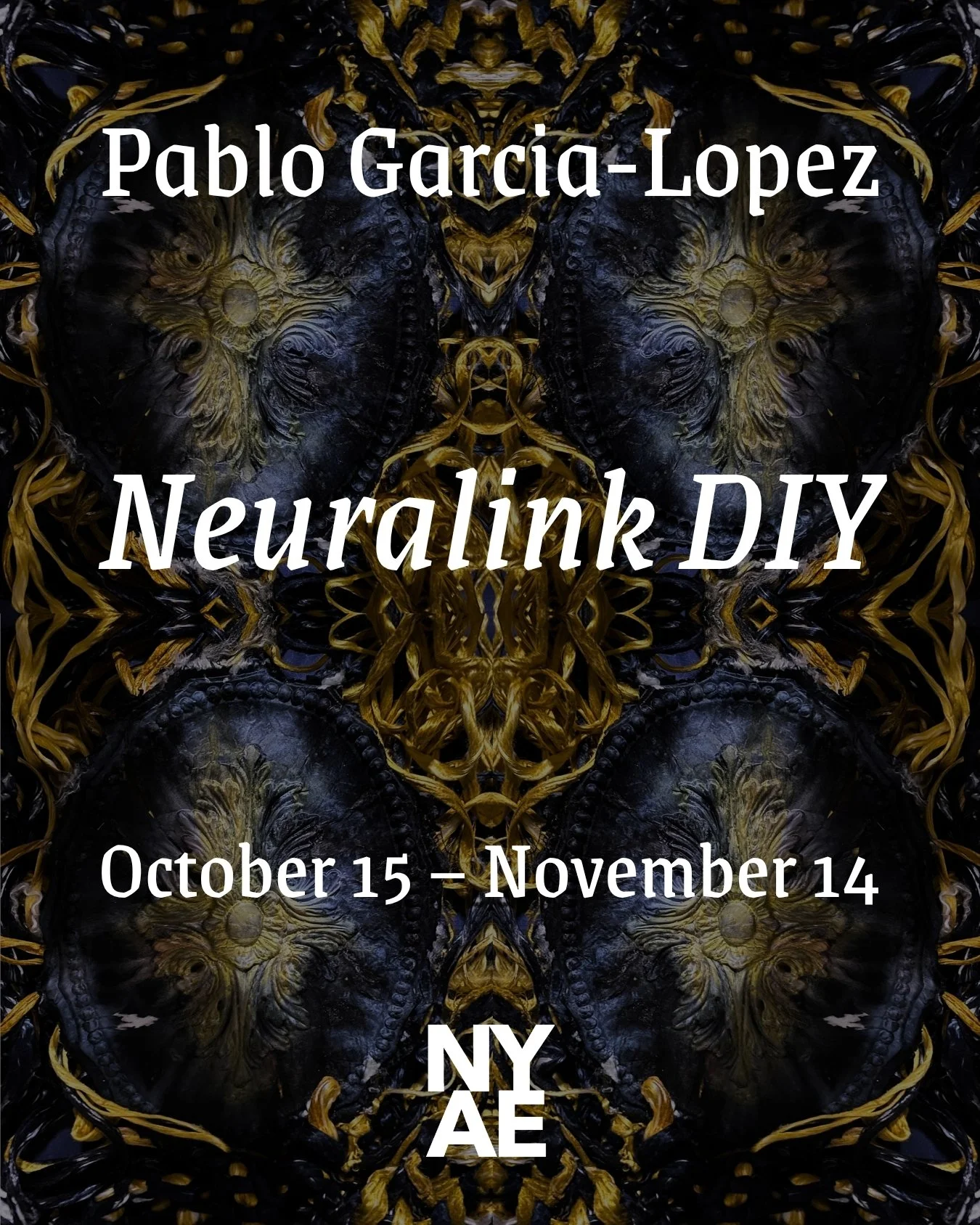 Equity Gallery is pleased to present &ldquo;Neuralink DIY,&rdquo; a solo exhibition featuring Pablo Garcia-Lopez.

Please join us for the opening reception on Thursday, October 15 from 6&ndash;8 PM! 

Pablo Garcia-Lopez is a Spanish artist and neuros