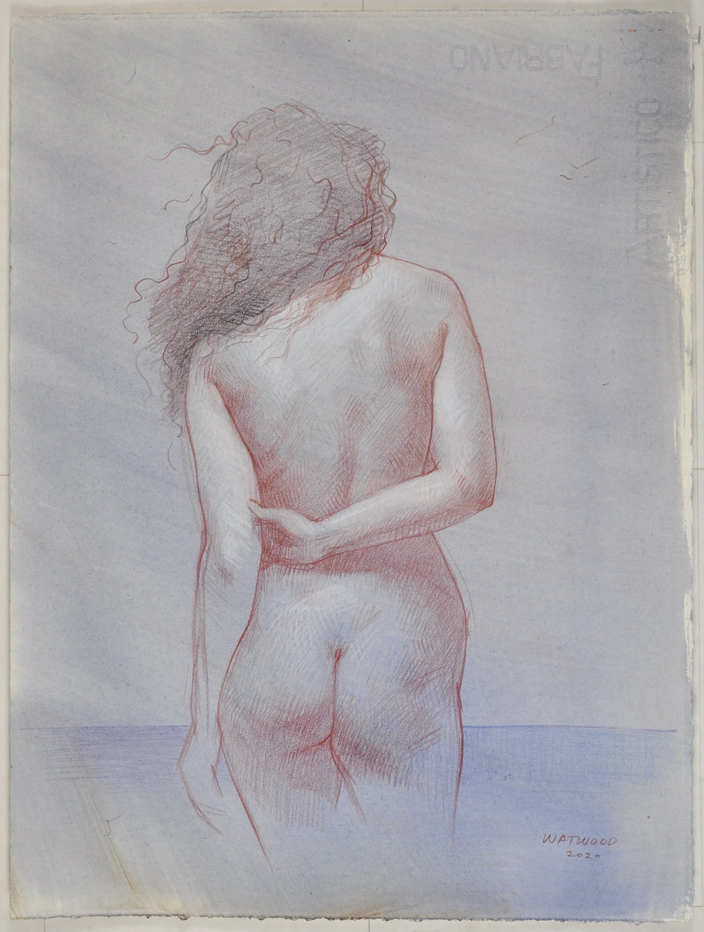 Watwood_Ali_s Back final - 1.jpeg