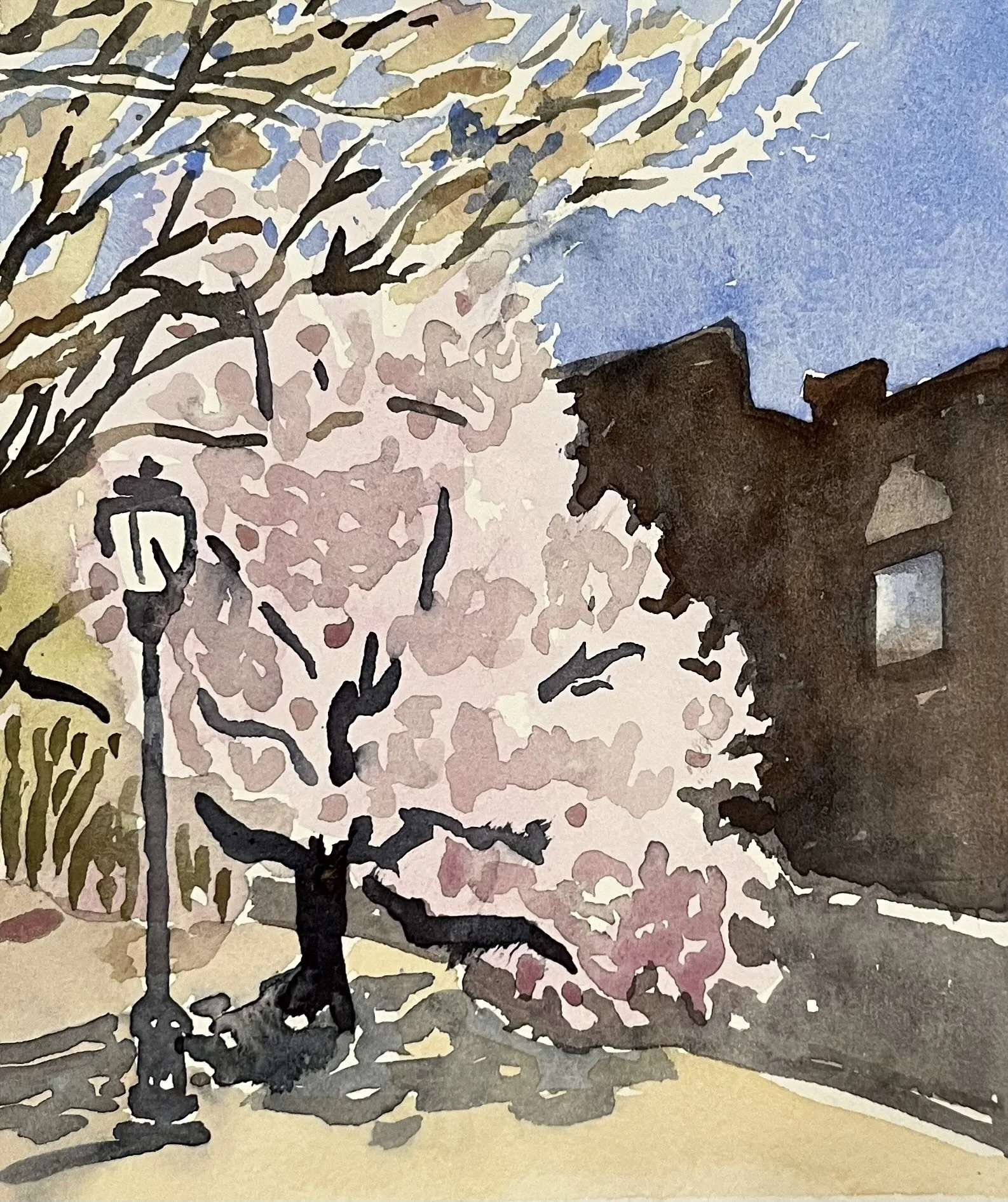 Susan Greenstein, "Magnolia"