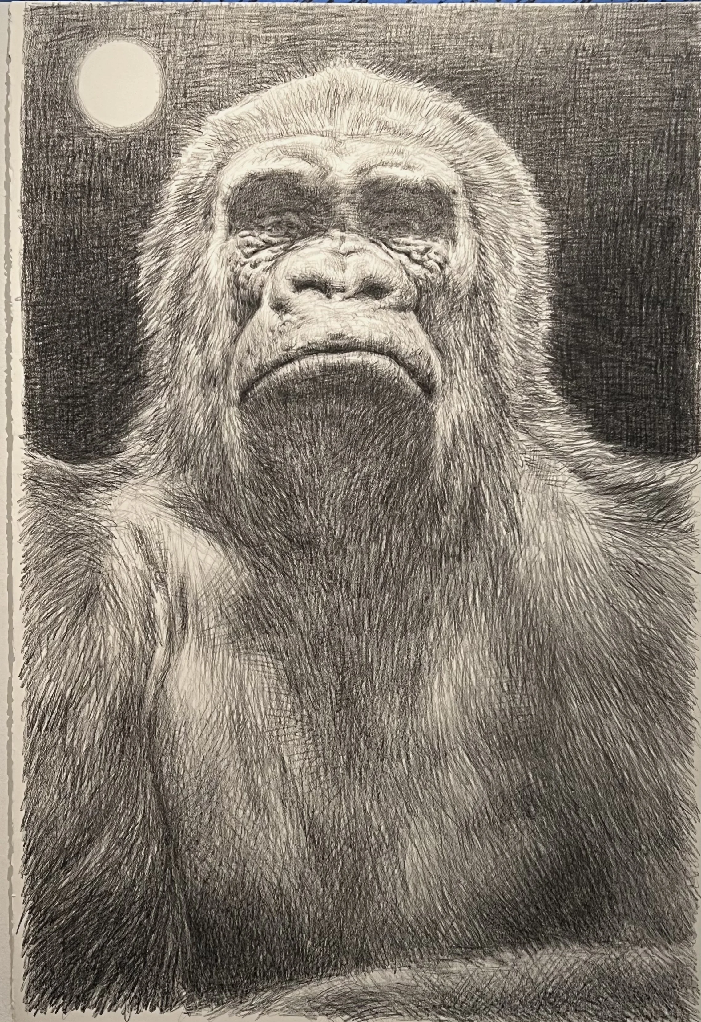 Park_Ars simia naturae one.jpg