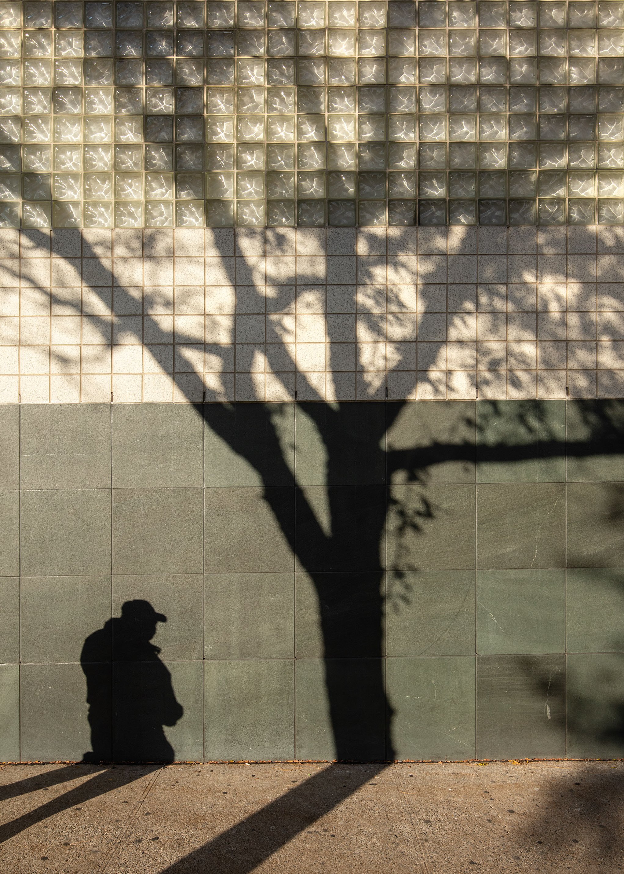 Dual Shadows, The Bronx.jpg