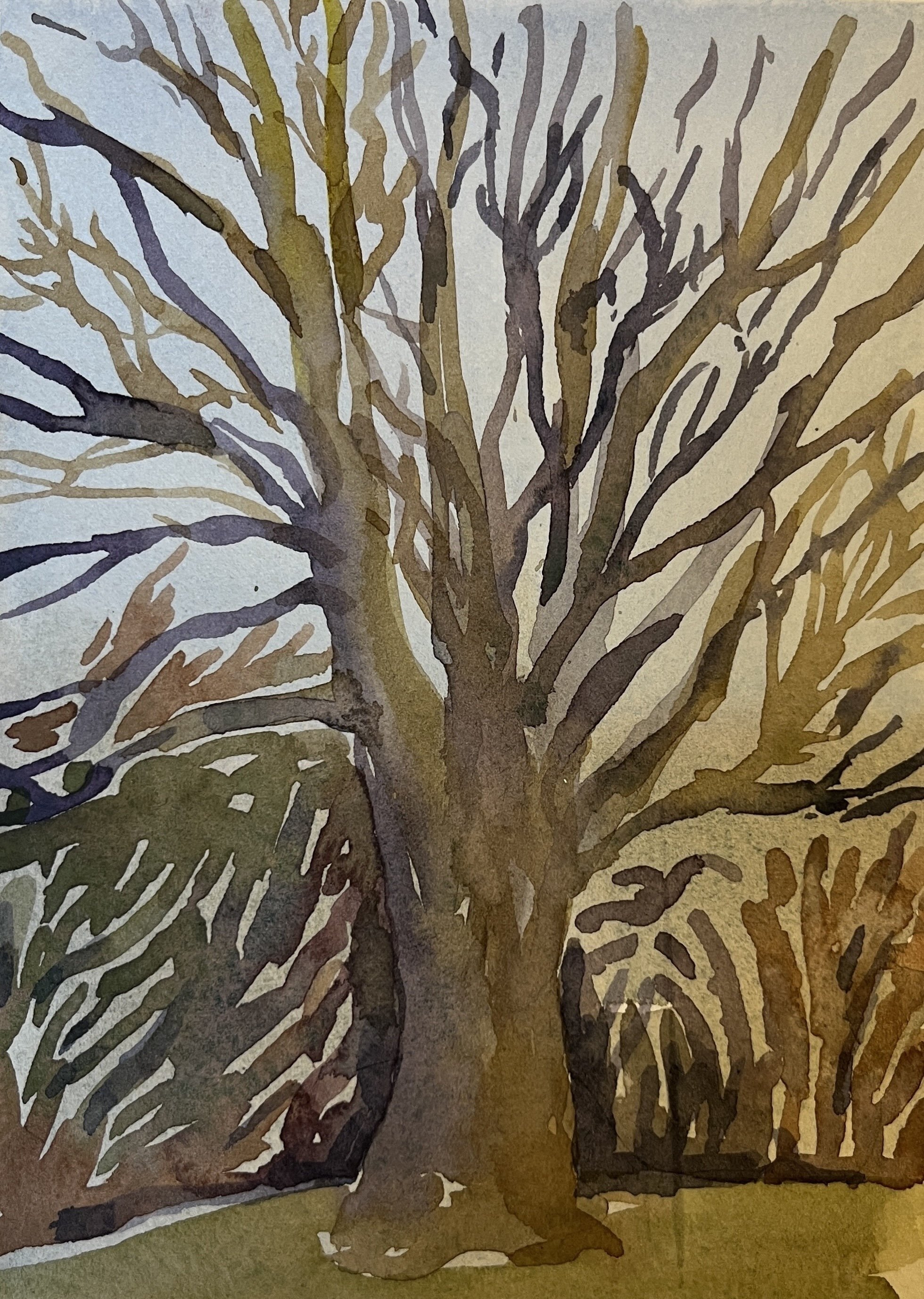Susan Greenstein, "Winter Trees"