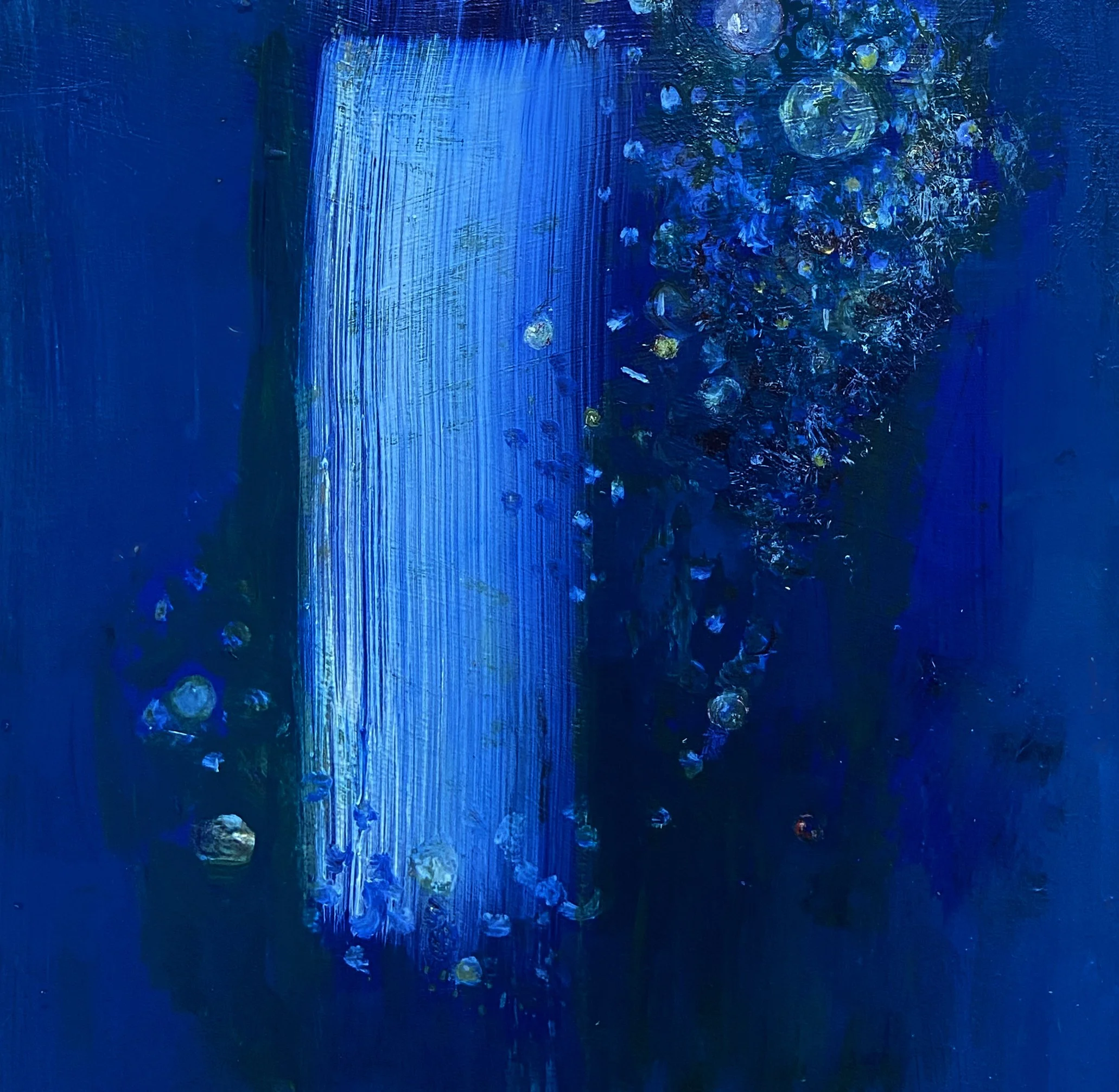 5_blue_dive (2).jpg