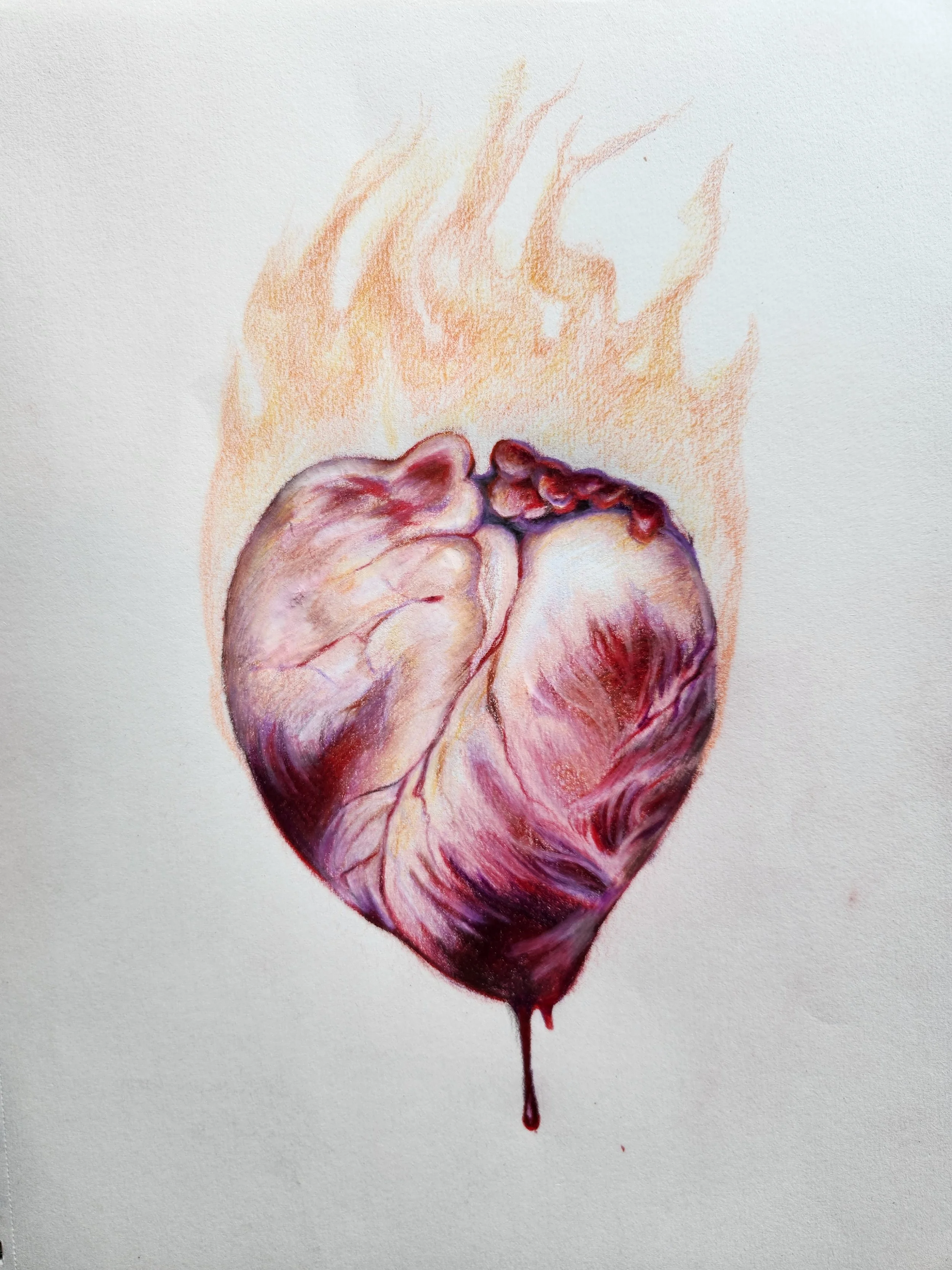 Berardicelli_Flames of Desire_2026_Colored Pencil on Paper_8x6_$200.jpg