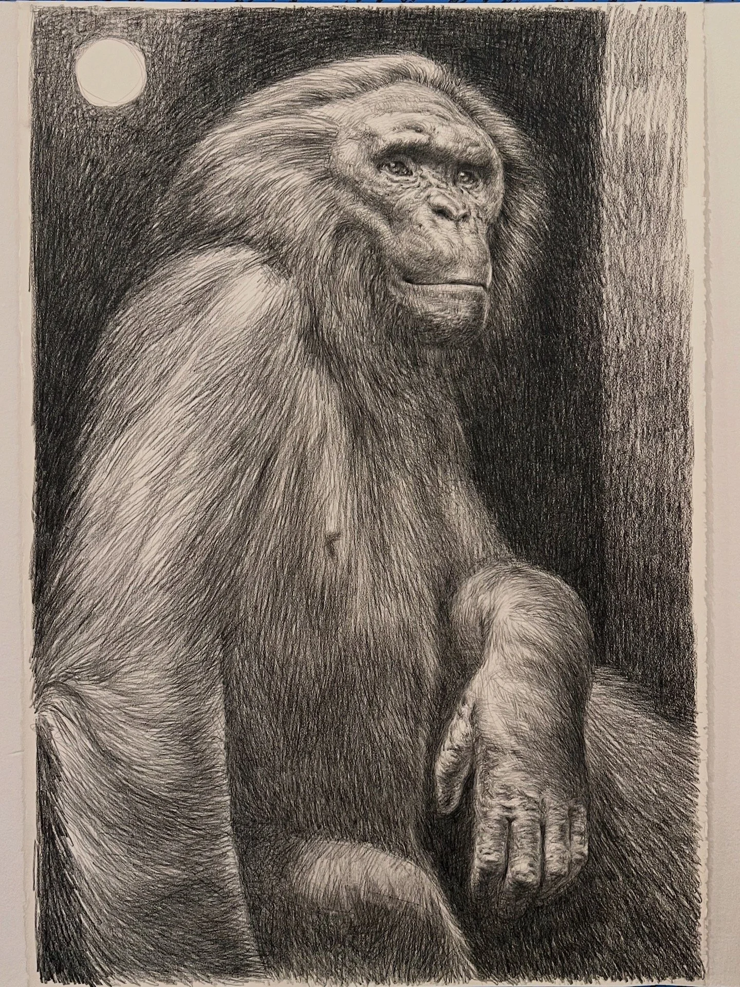 Park_Ars simia naturae two.JPG