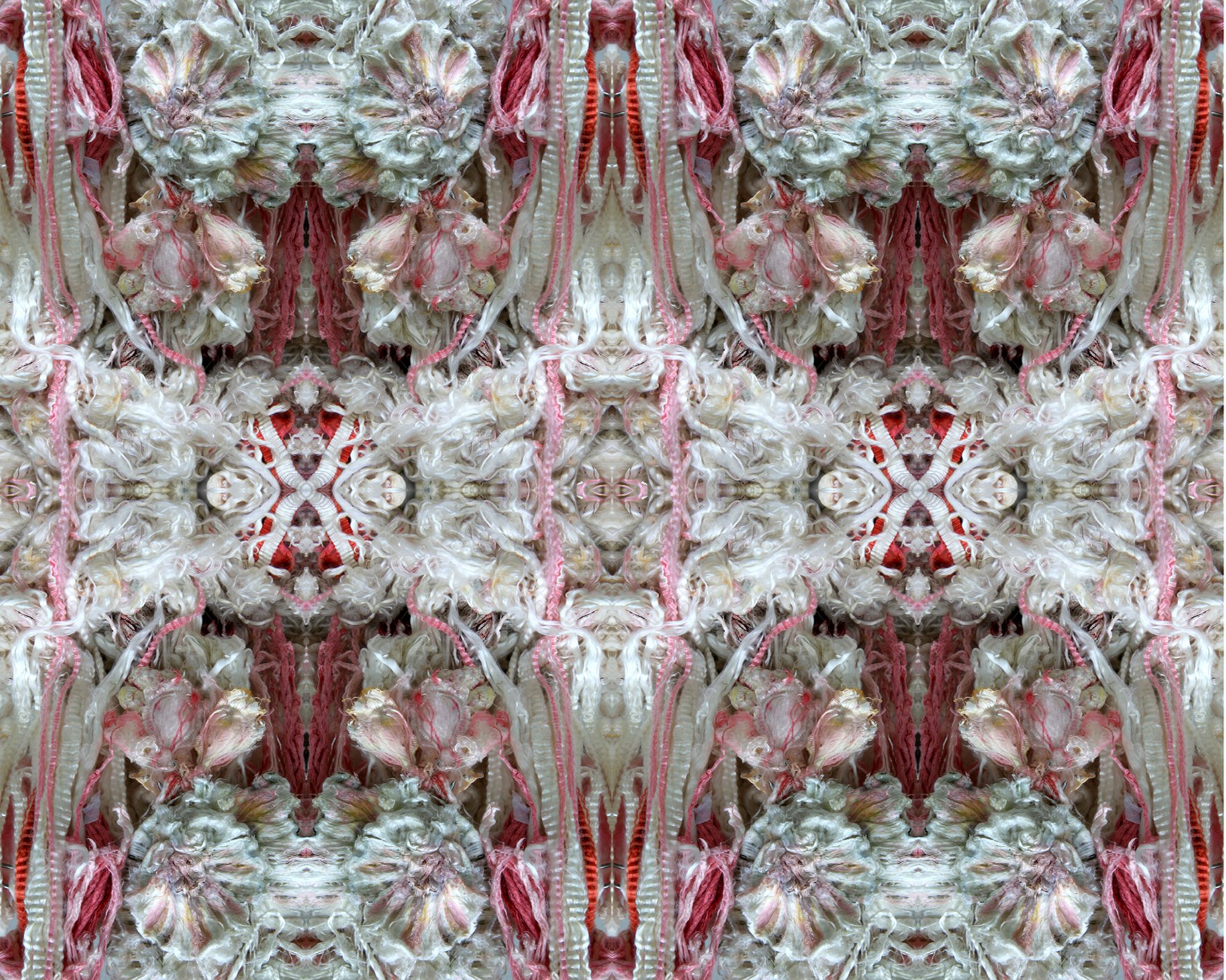Image07-slaugherhouspaperwall-print.jpg