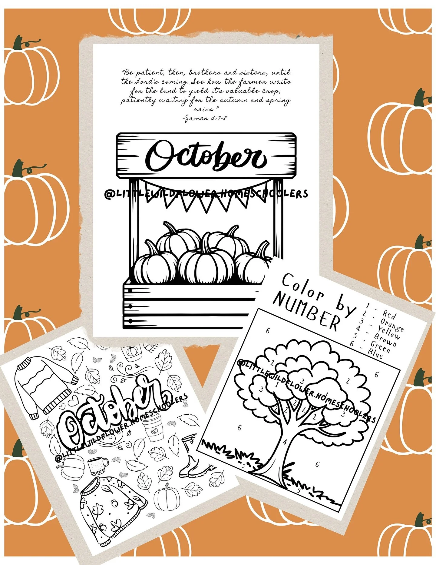 October is NEXT WEEK!
Drop a ☕️ to get a FREE activity page!

These pages are a one of a kind so you&rsquo;ll only find them here!
.
.
.
#homeschool #homeschooling #homeschoolcommunity #homeschoolfamily #homeschooler #homeschoolers #homeschooled #hom