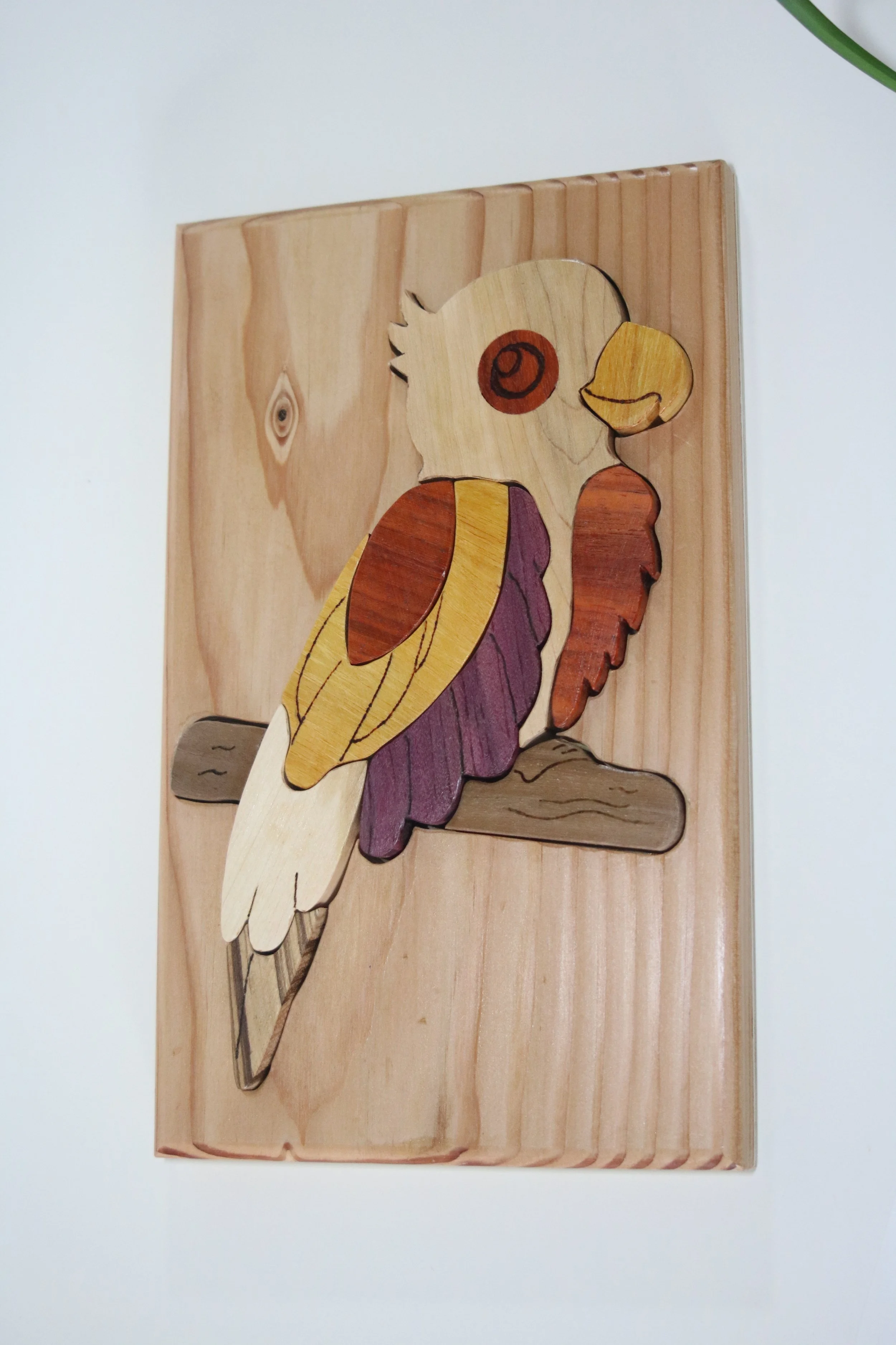 Le perroquet sur sa branche