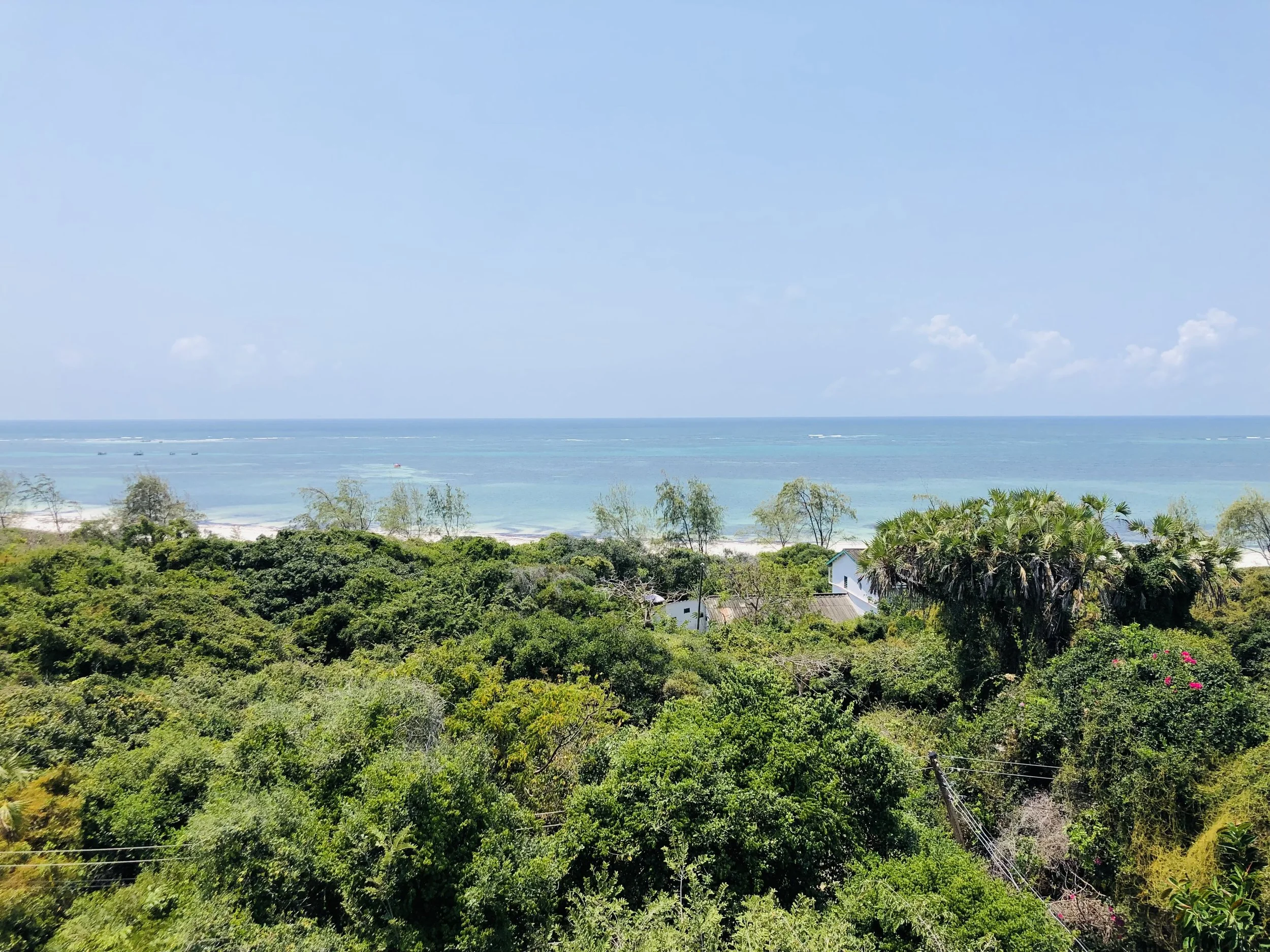 Into the Wild Yoga Retreat, Watamu, Kenya