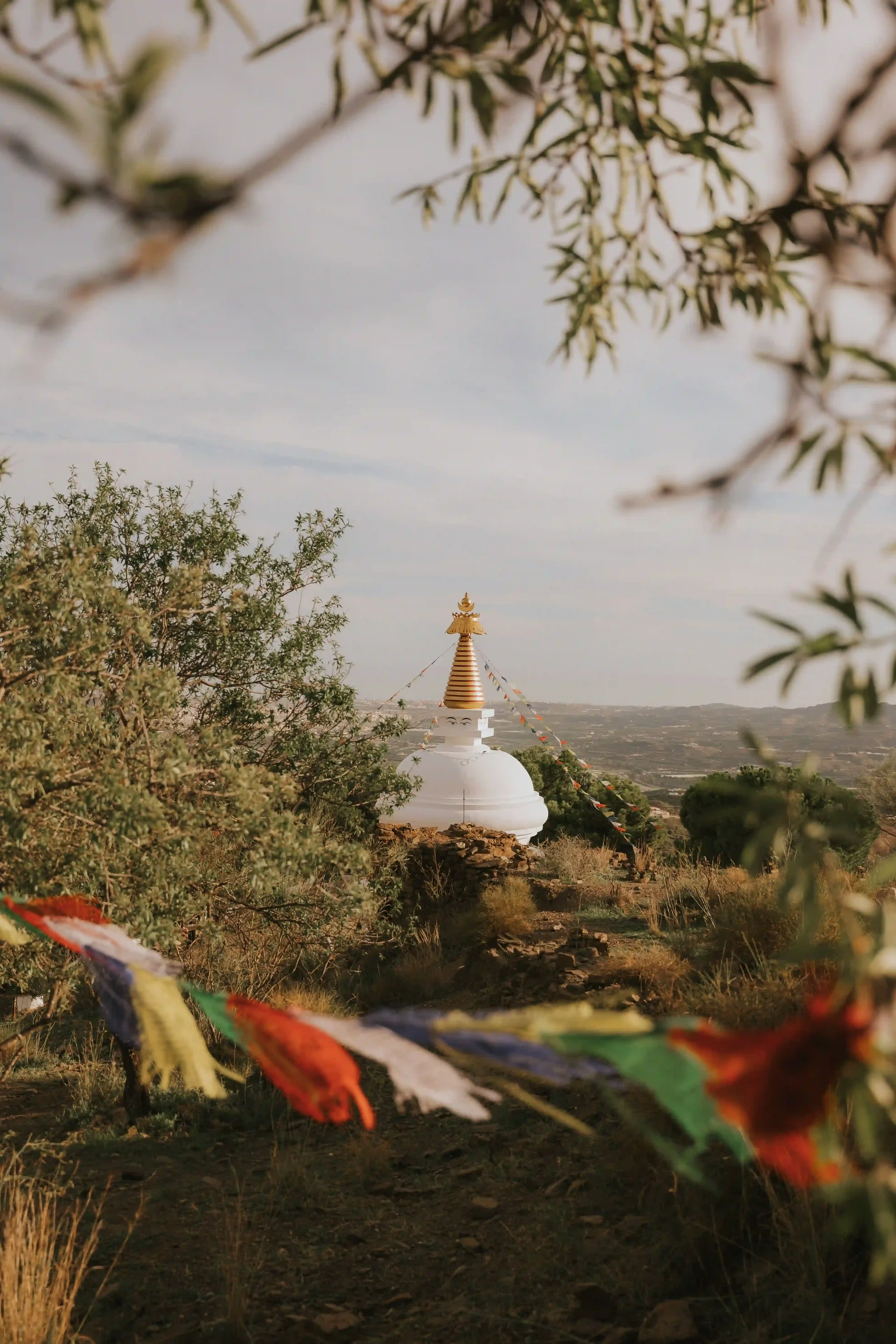 retreat-temple.webp