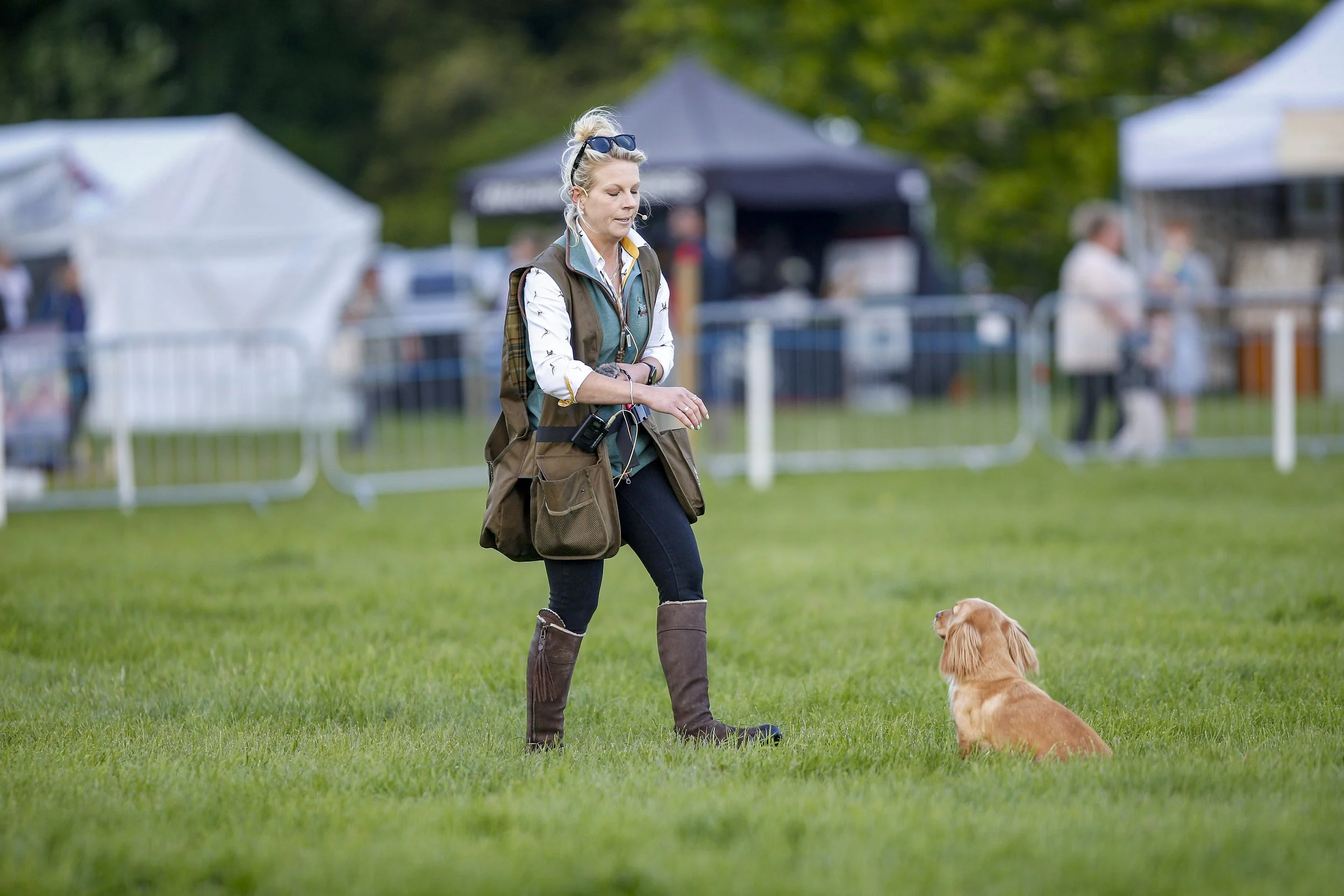 Gundog training demonstration.jpg