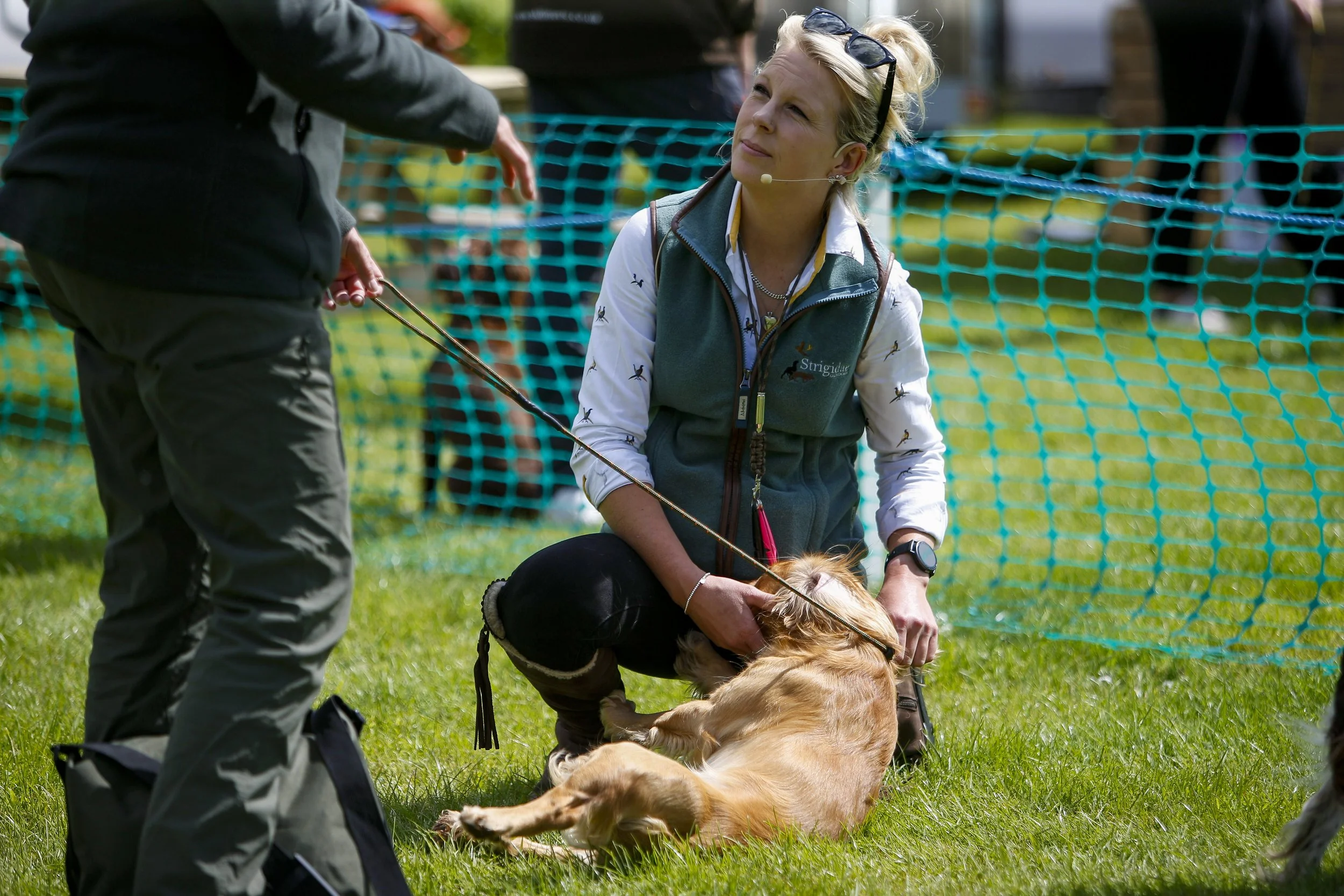 Sam Thatcher Gundog Trainer 1.jpg