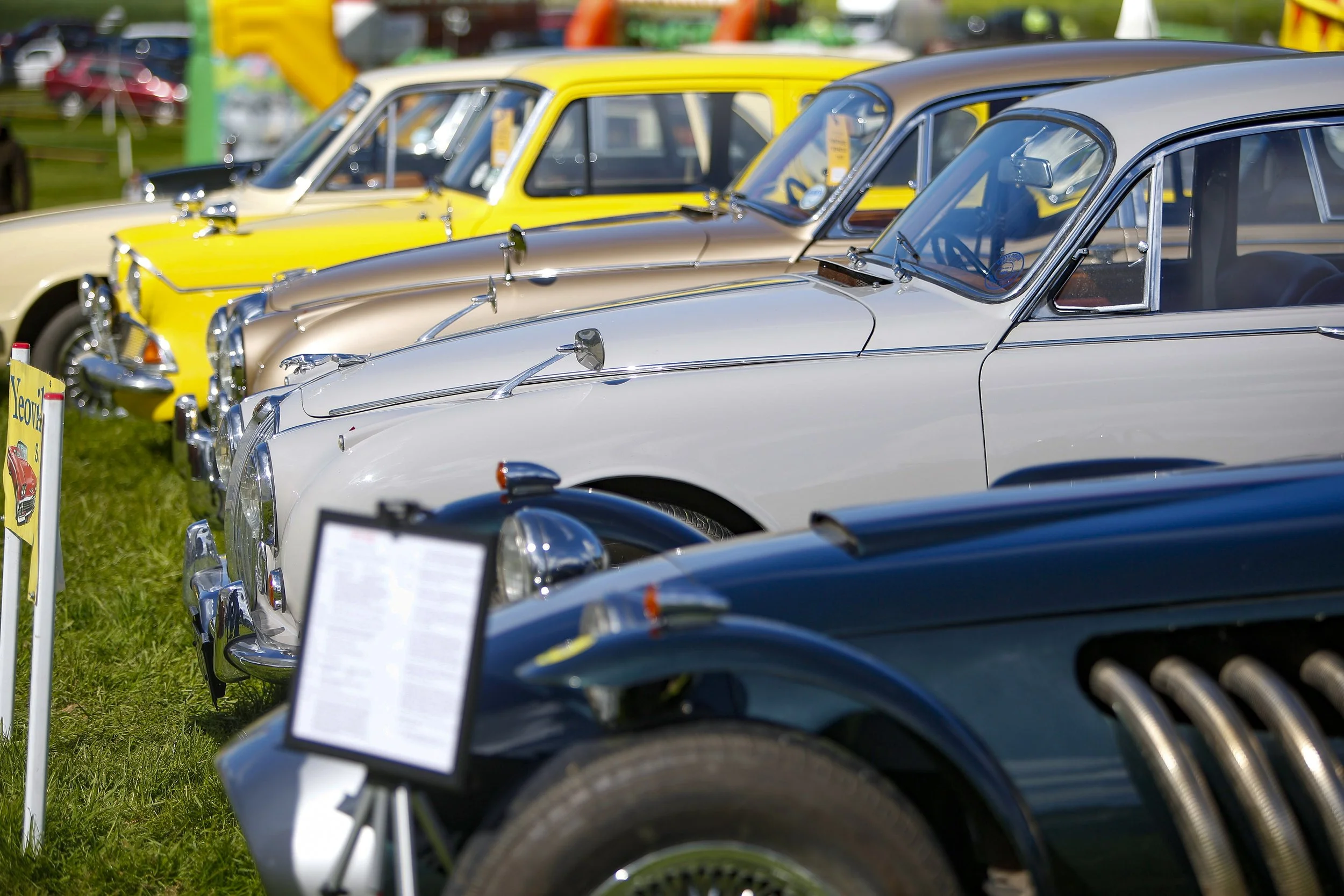 Vintage cars on display.jpg