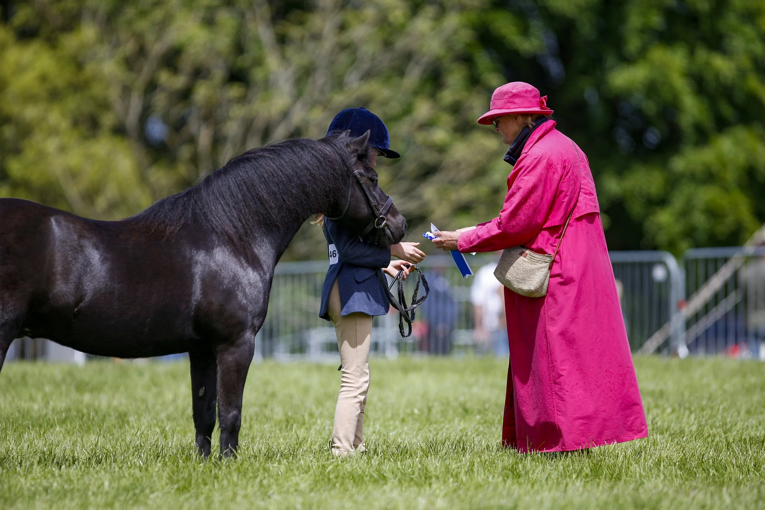 Judge (very pink!) presenting prize to pony.jpg