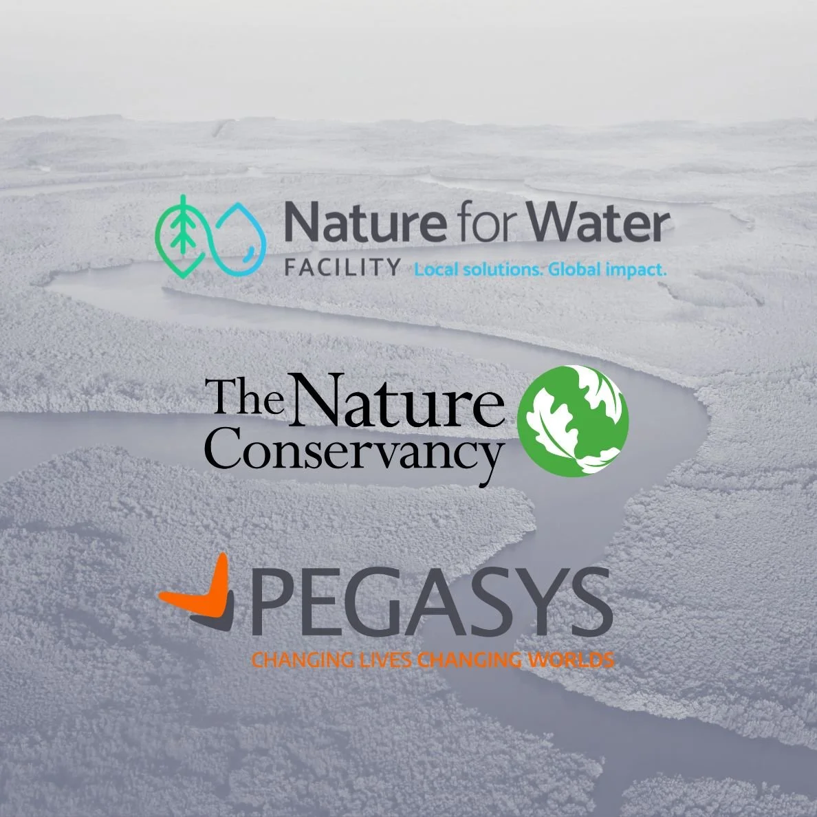 Wineskins Web Graphics.jpg