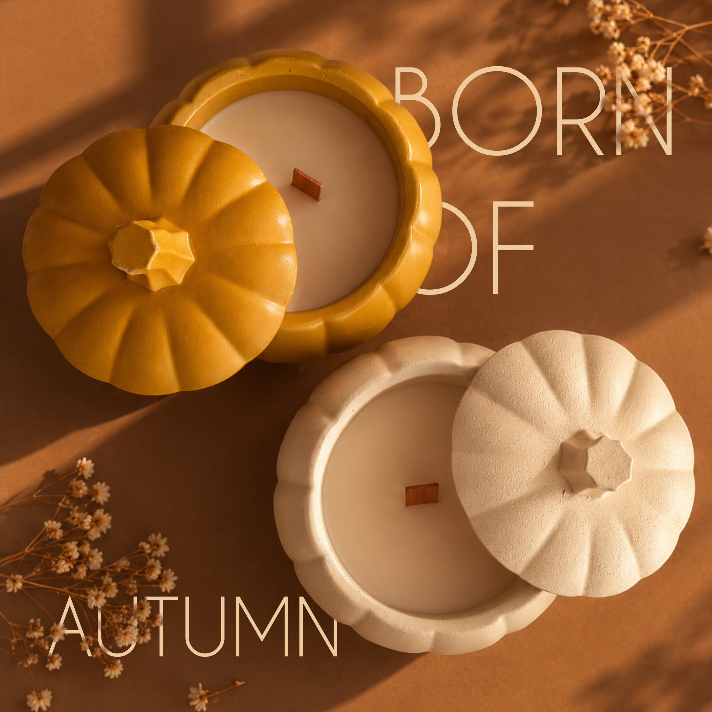 autum.harvest_03.png